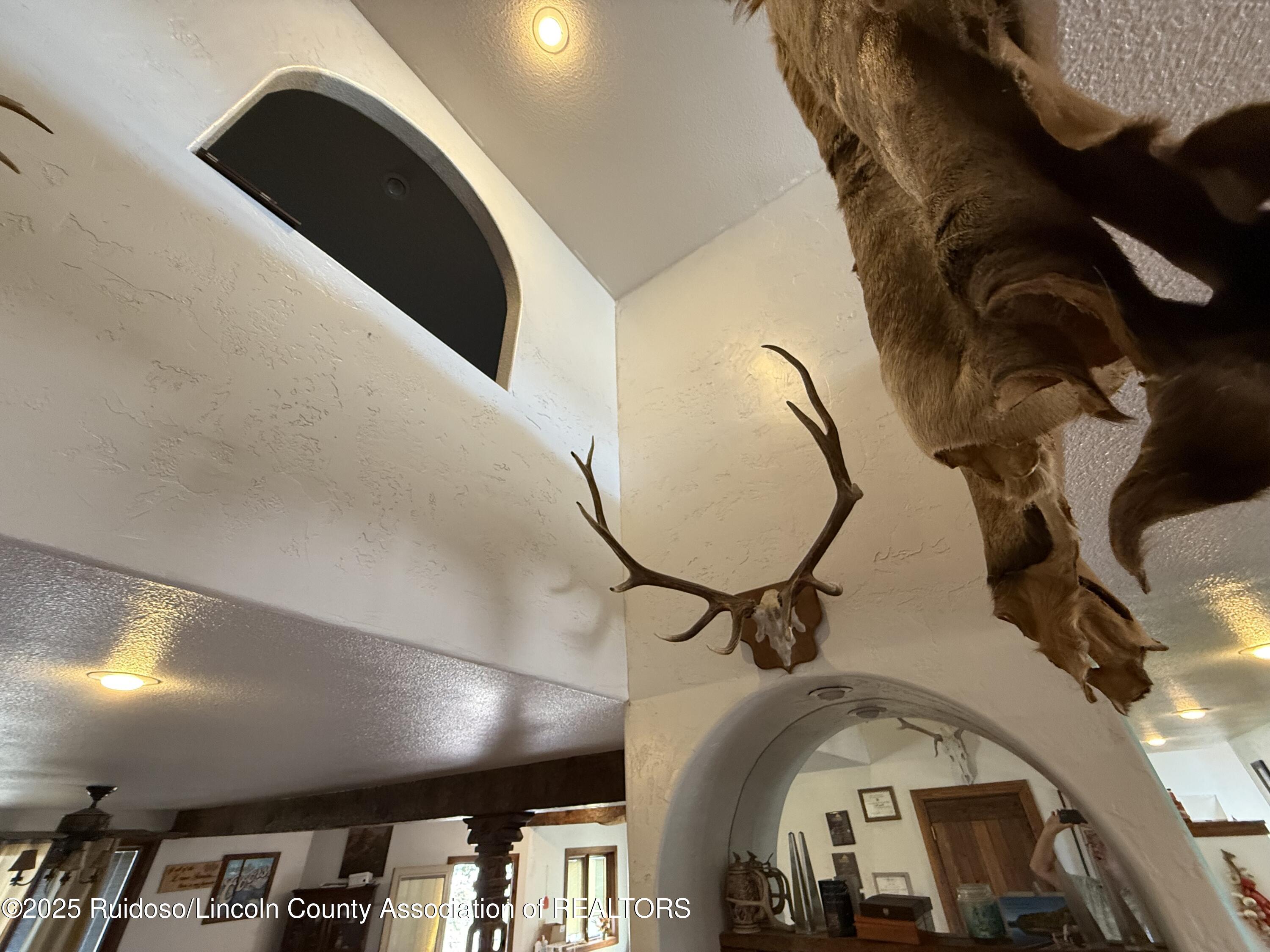 237 Pfingsten Road, Nogal, New Mexico image 6