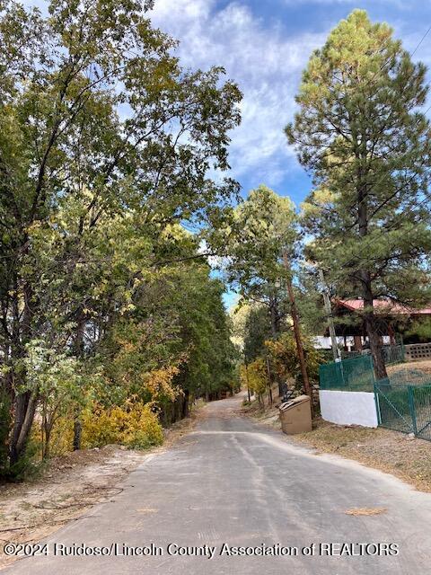 110 Pippin Street, Ruidoso, New Mexico image 40