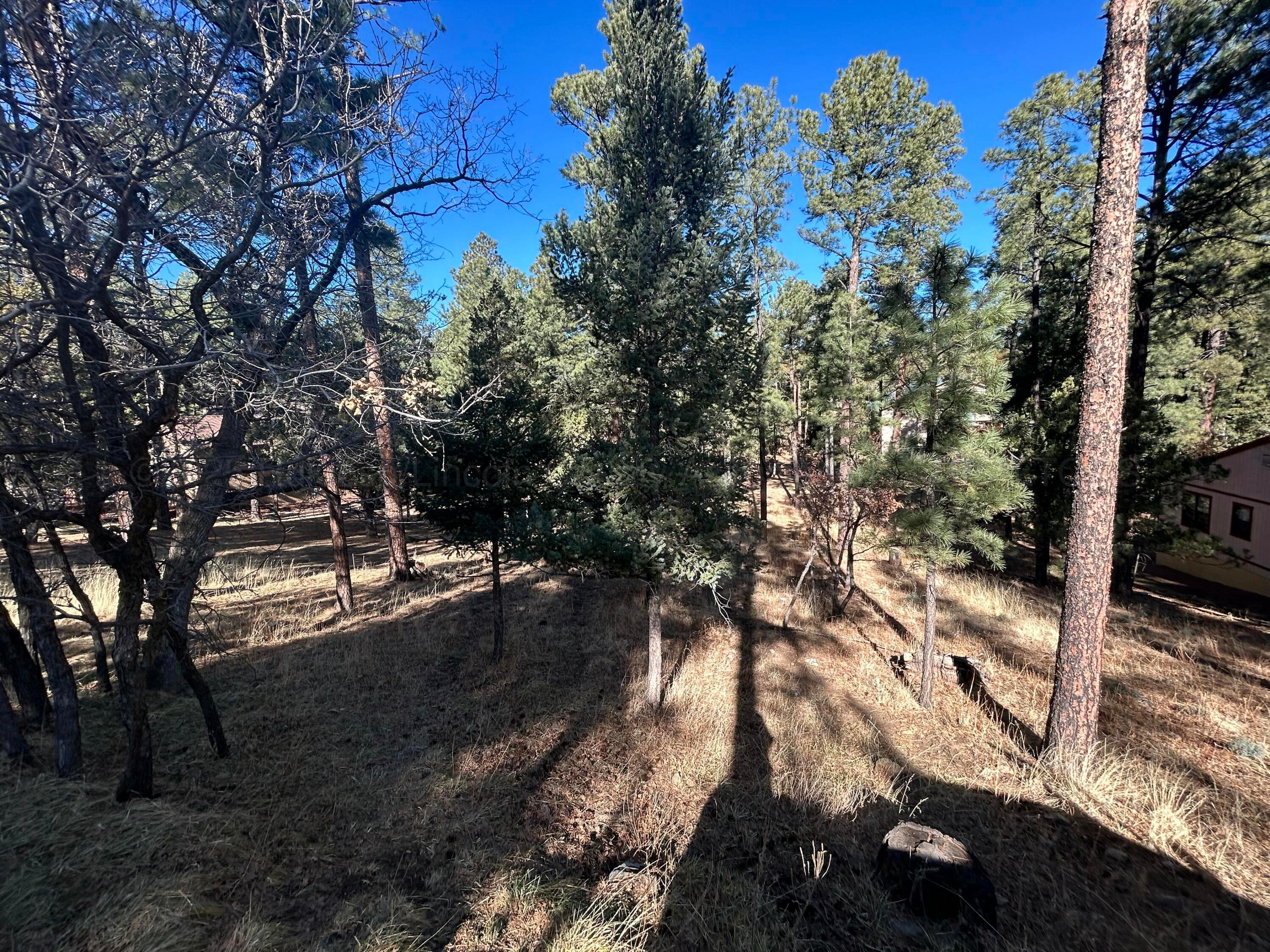 117 Tanglewood, Alto, New Mexico image 5