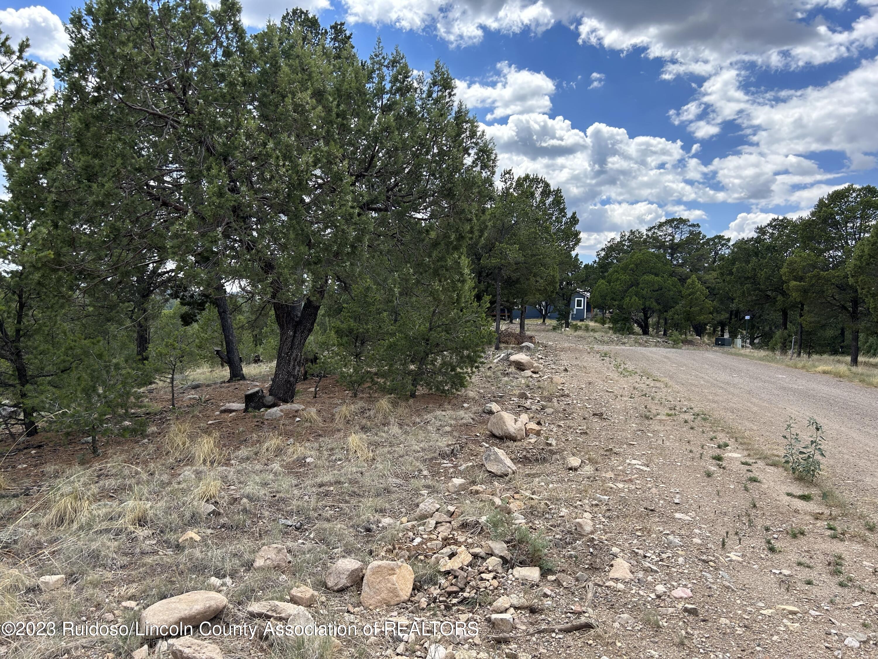 102 Promontory Pl, Alto, New Mexico image 8