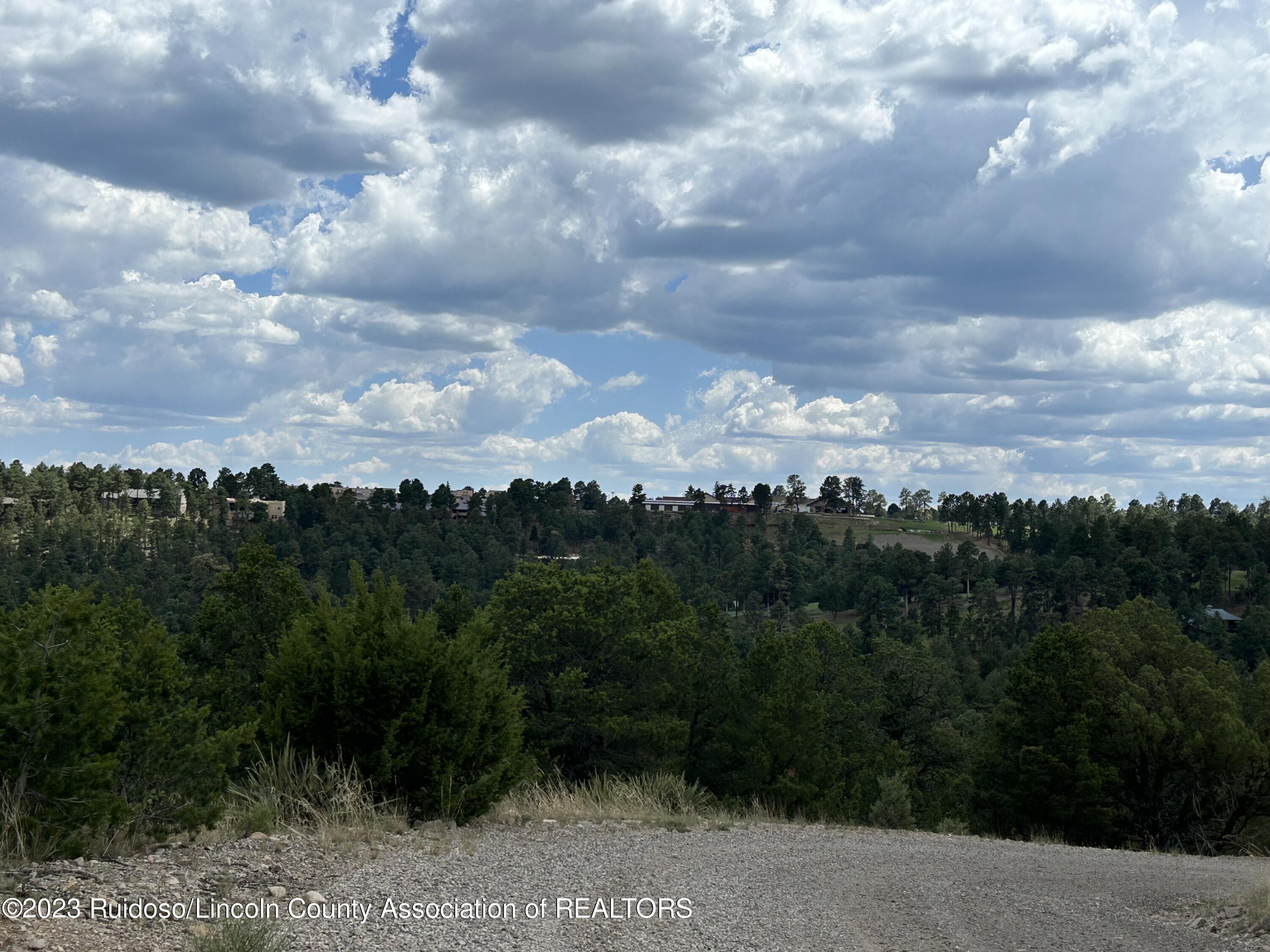 102 Promontory Pl, Alto, New Mexico image 2