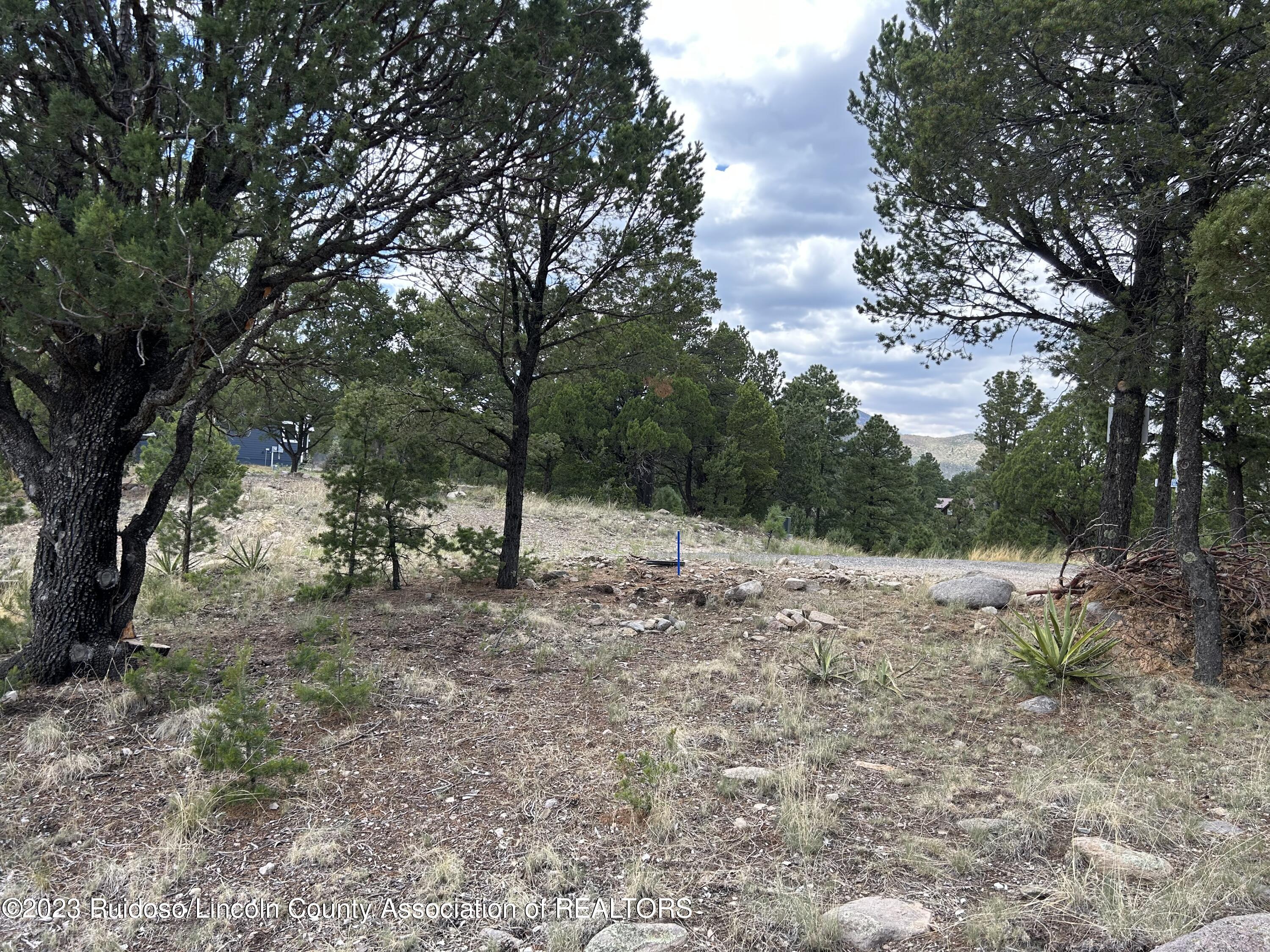 102 Promontory Pl, Alto, New Mexico image 12