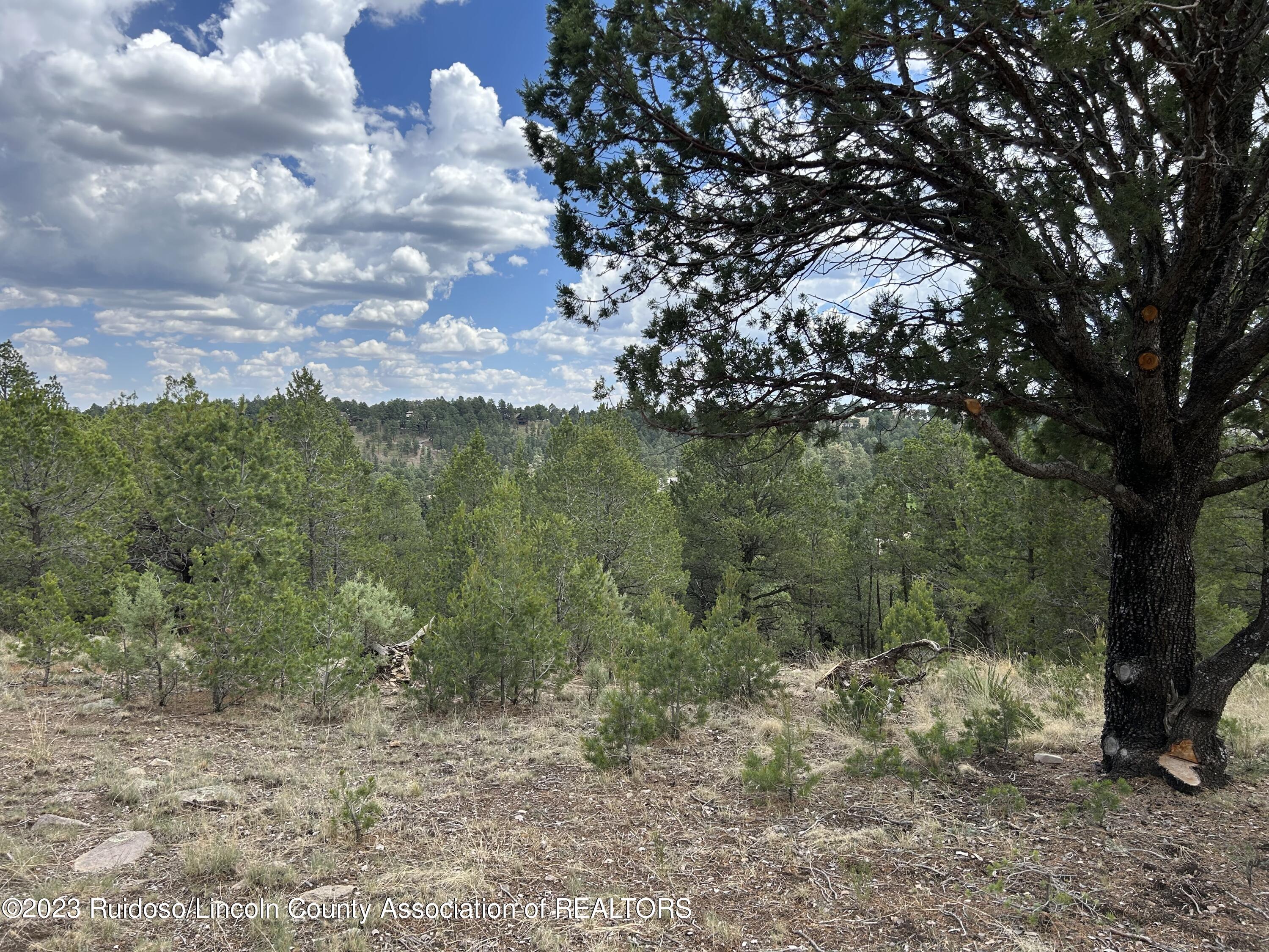 102 Promontory Pl, Alto, New Mexico image 10