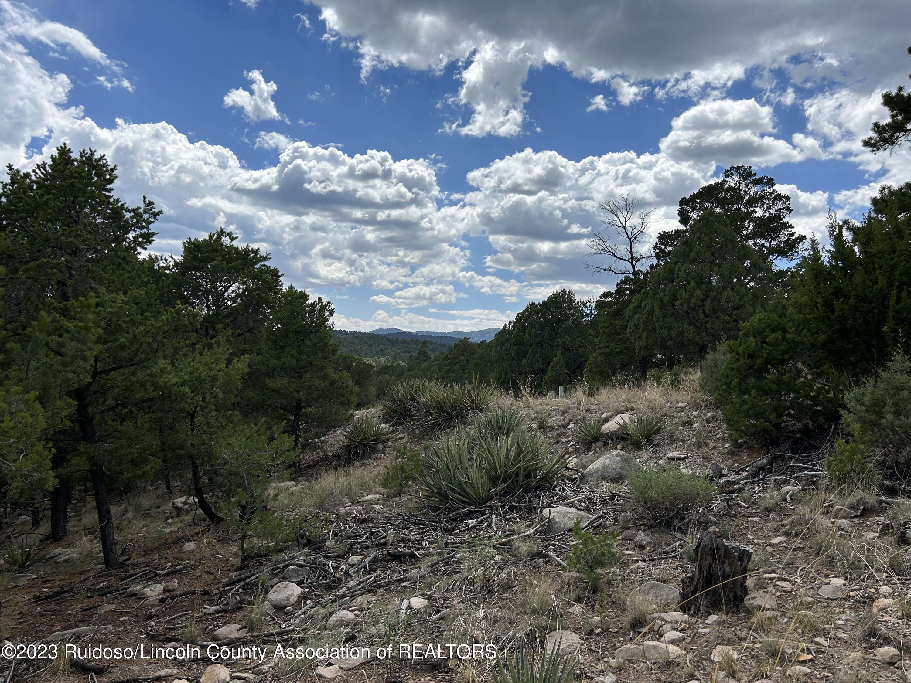 102 Promontory Pl, Alto, New Mexico image 4