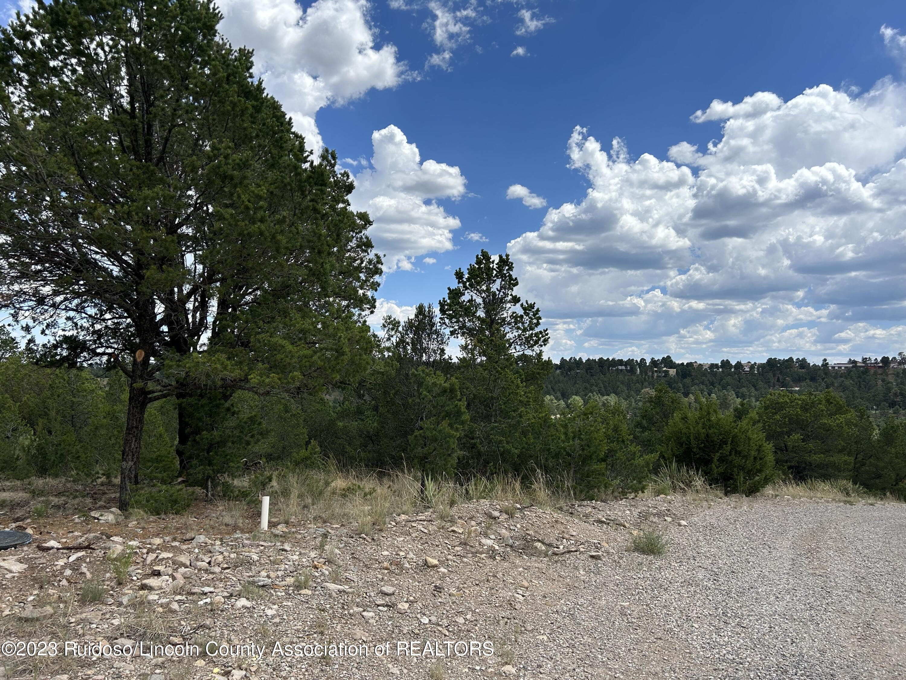 102 Promontory Pl, Alto, New Mexico image 11