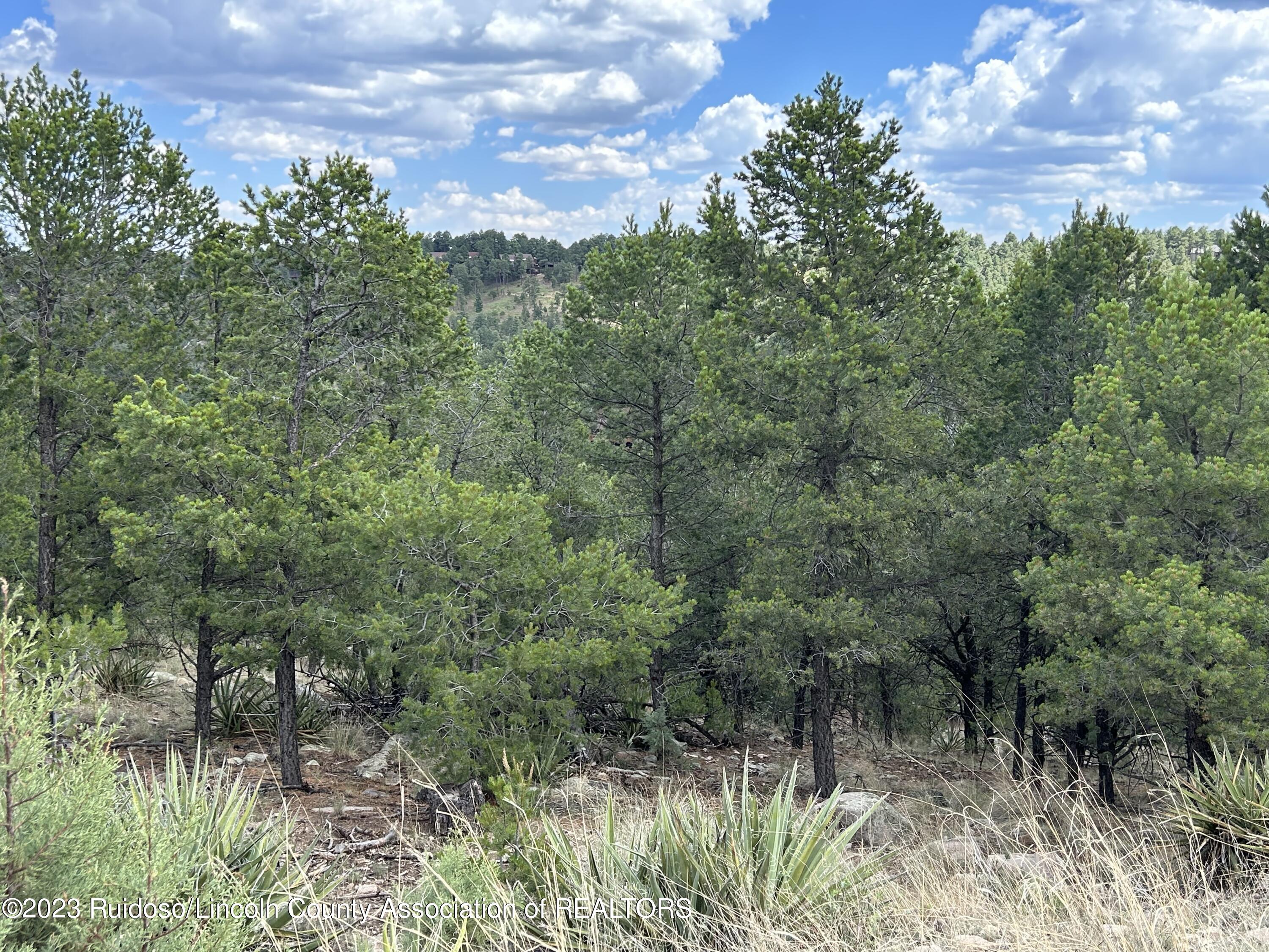 102 Promontory Pl, Alto, New Mexico image 3