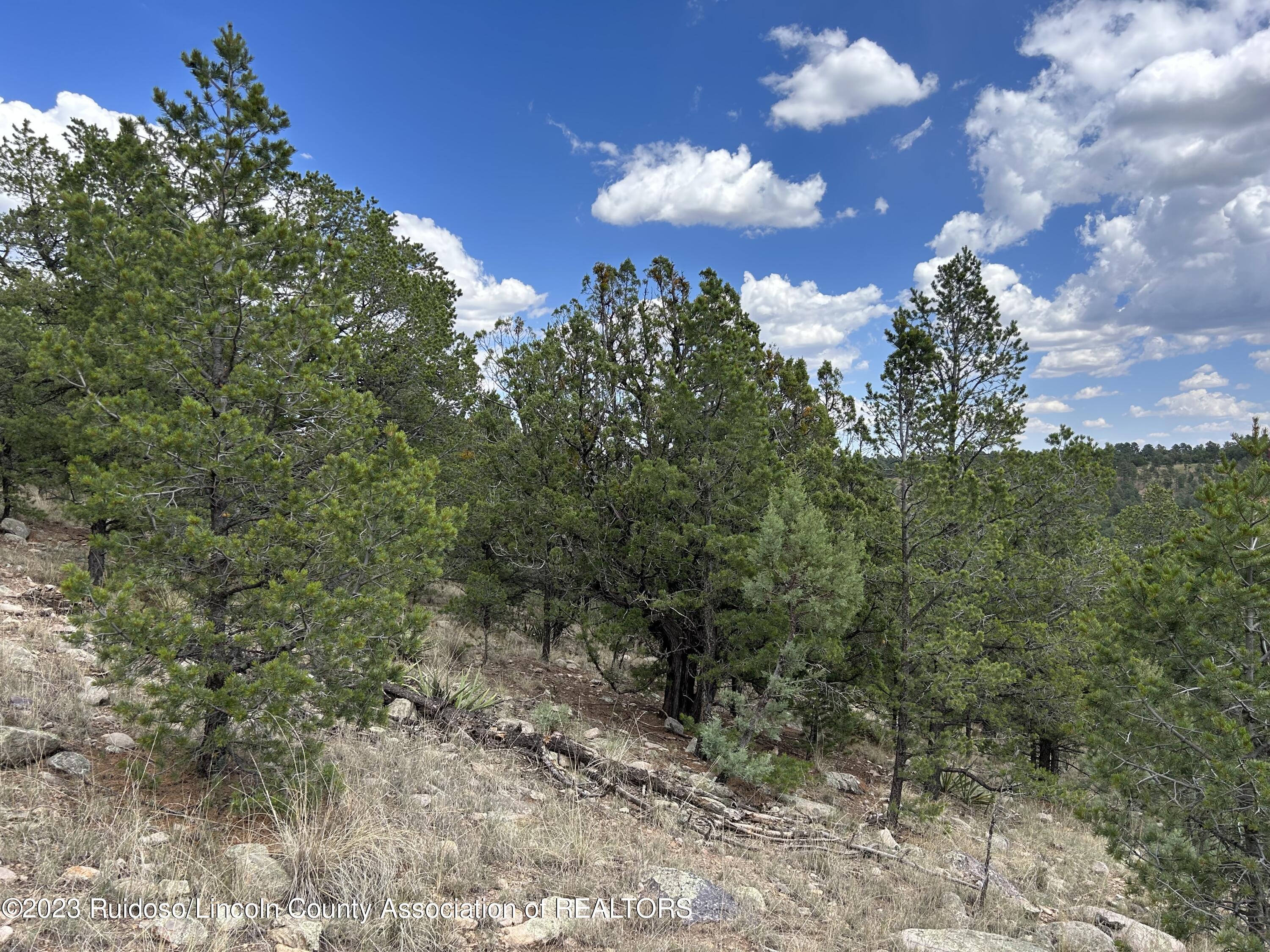 102 Promontory Pl, Alto, New Mexico image 6