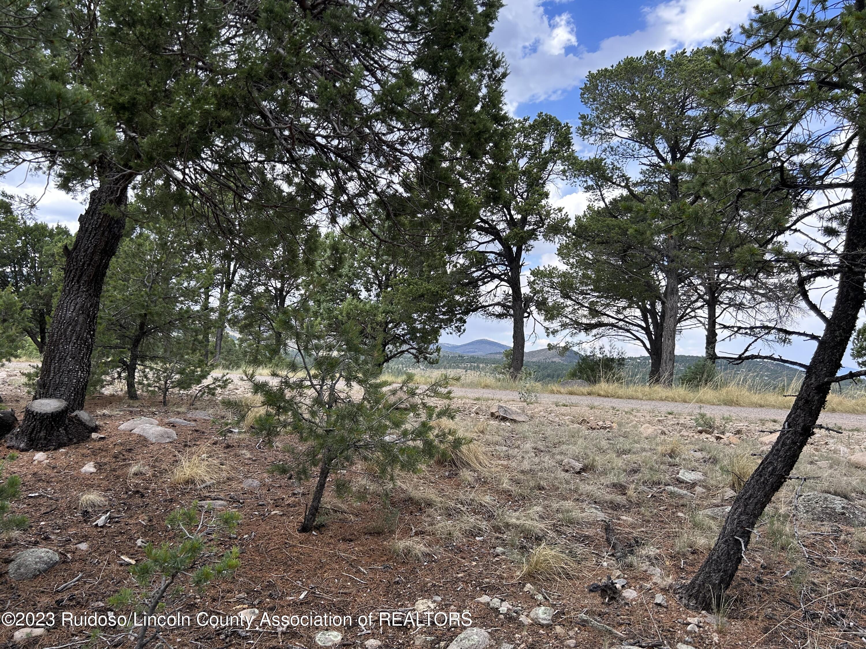 102 Promontory Pl, Alto, New Mexico image 9