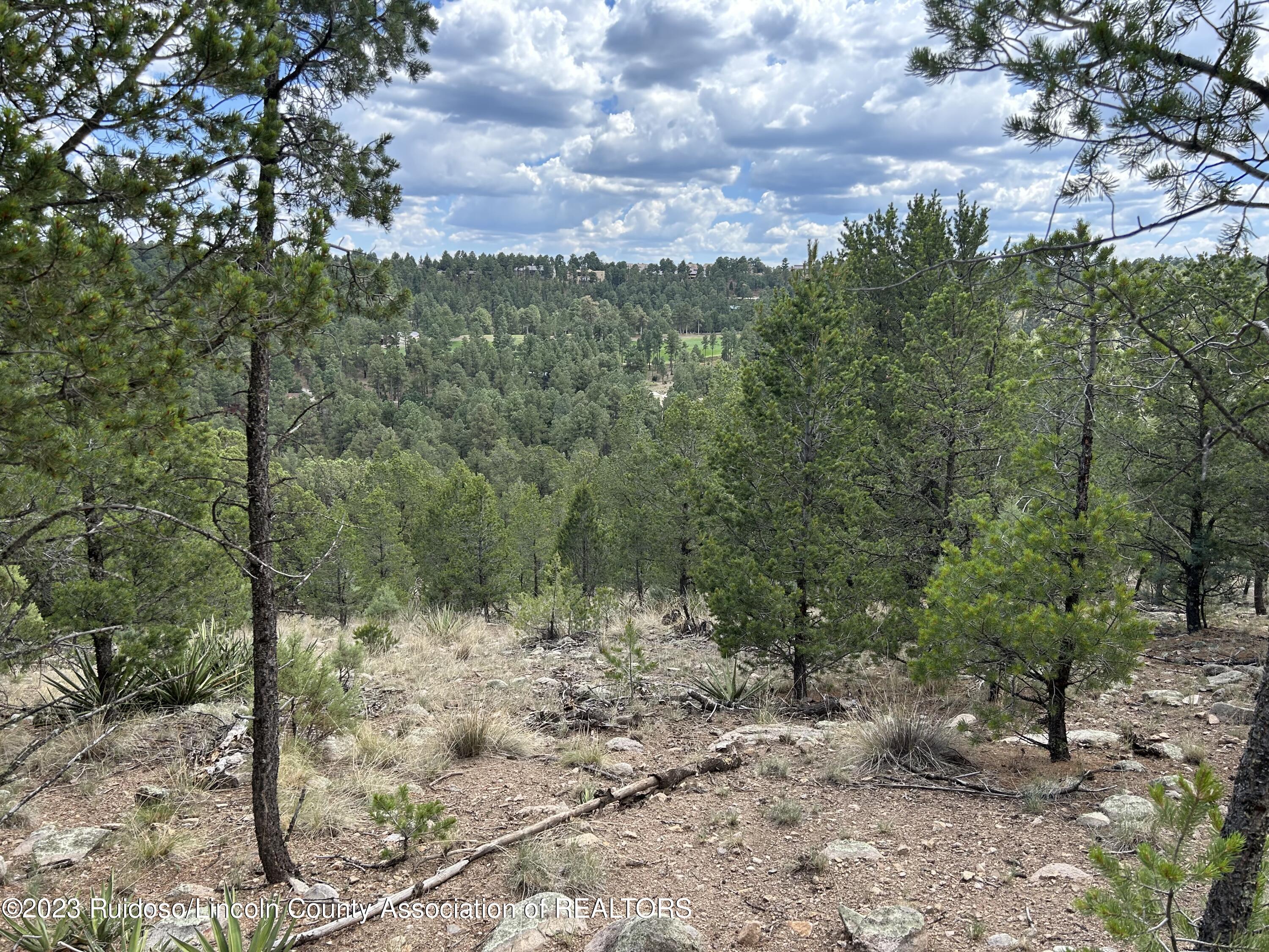 102 Promontory Pl, Alto, New Mexico image 13