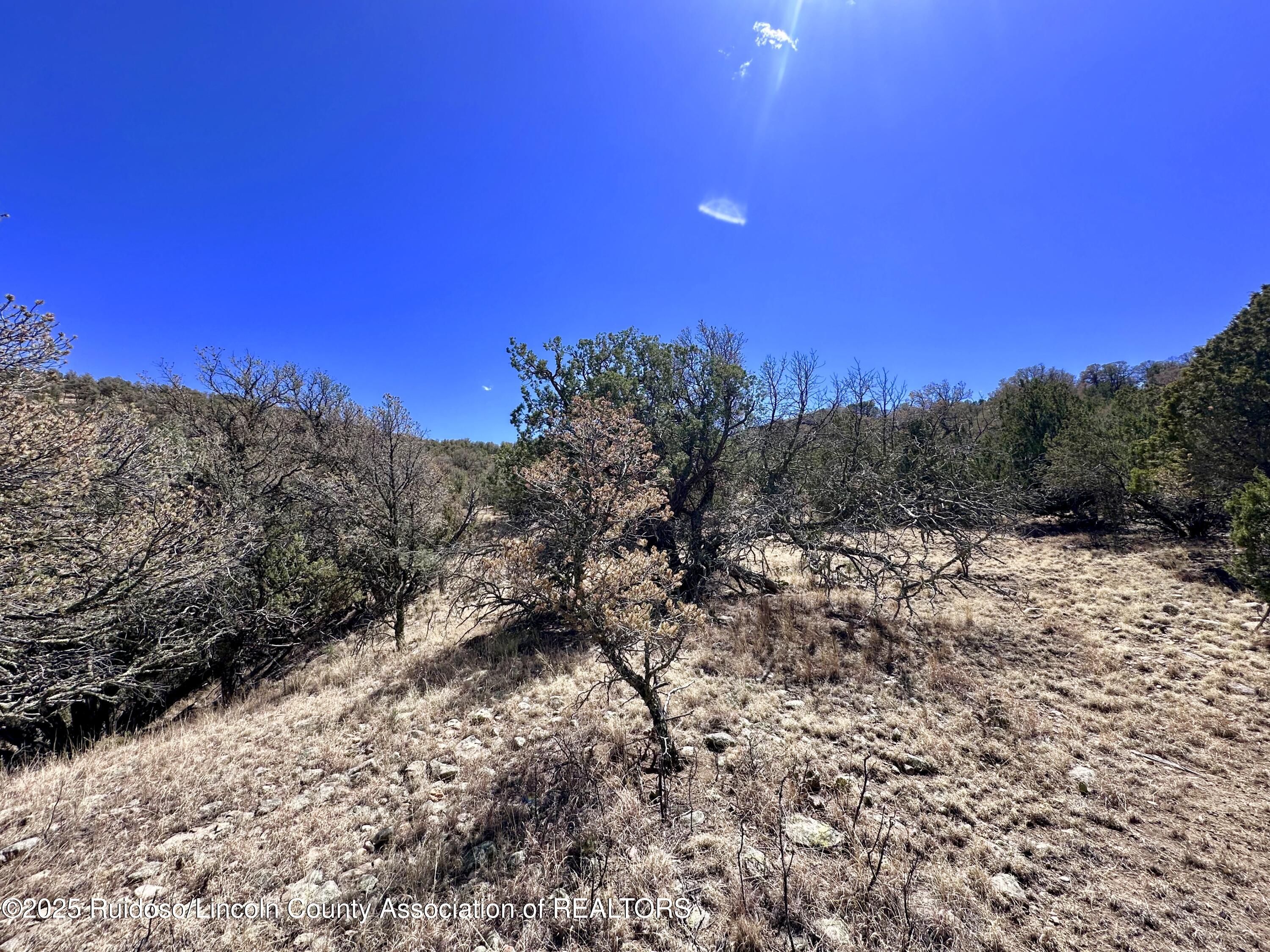 L347 Tierra Nueva Drive, Alto, New Mexico image 32