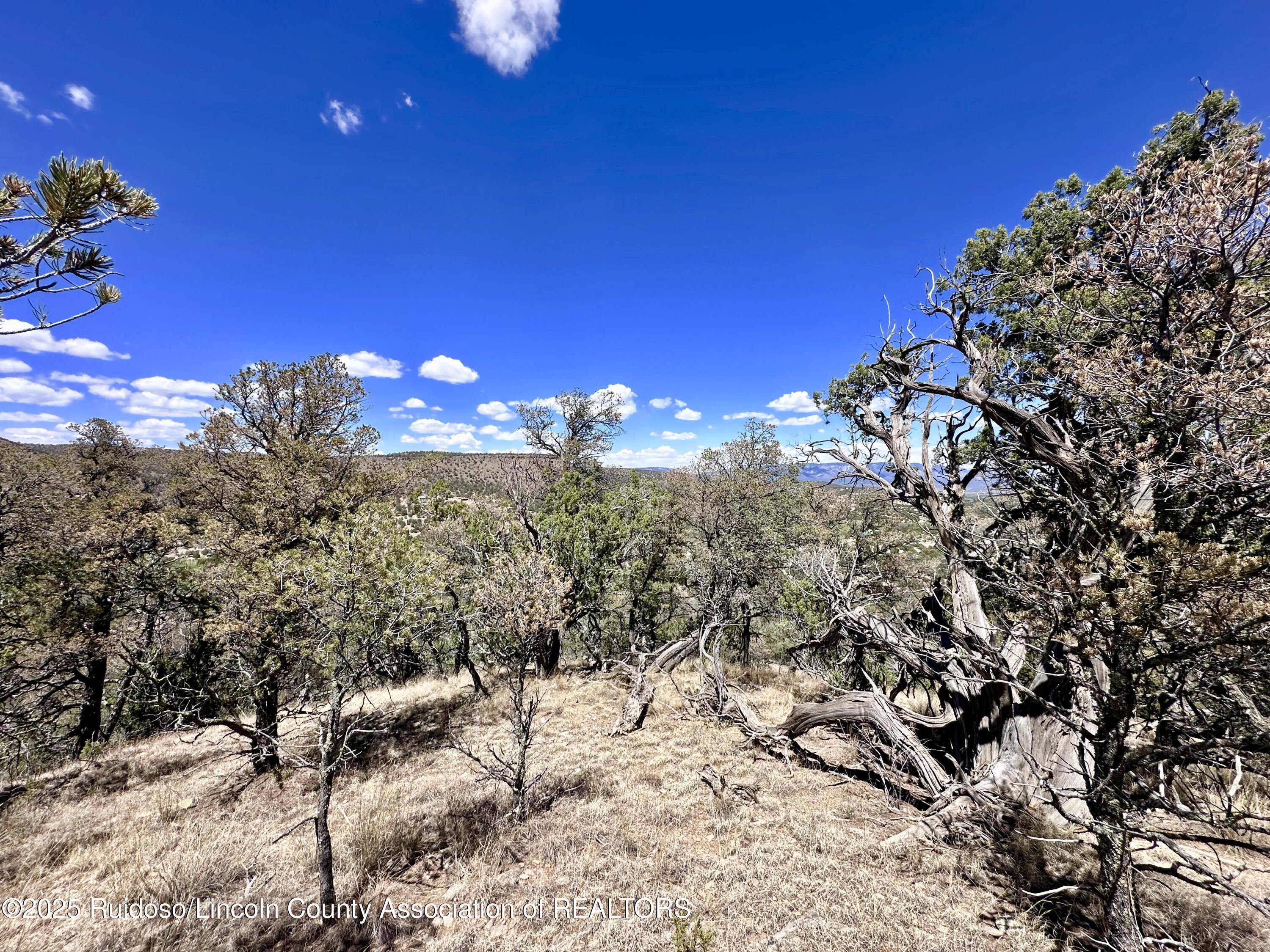 L347 Tierra Nueva Drive, Alto, New Mexico image 20