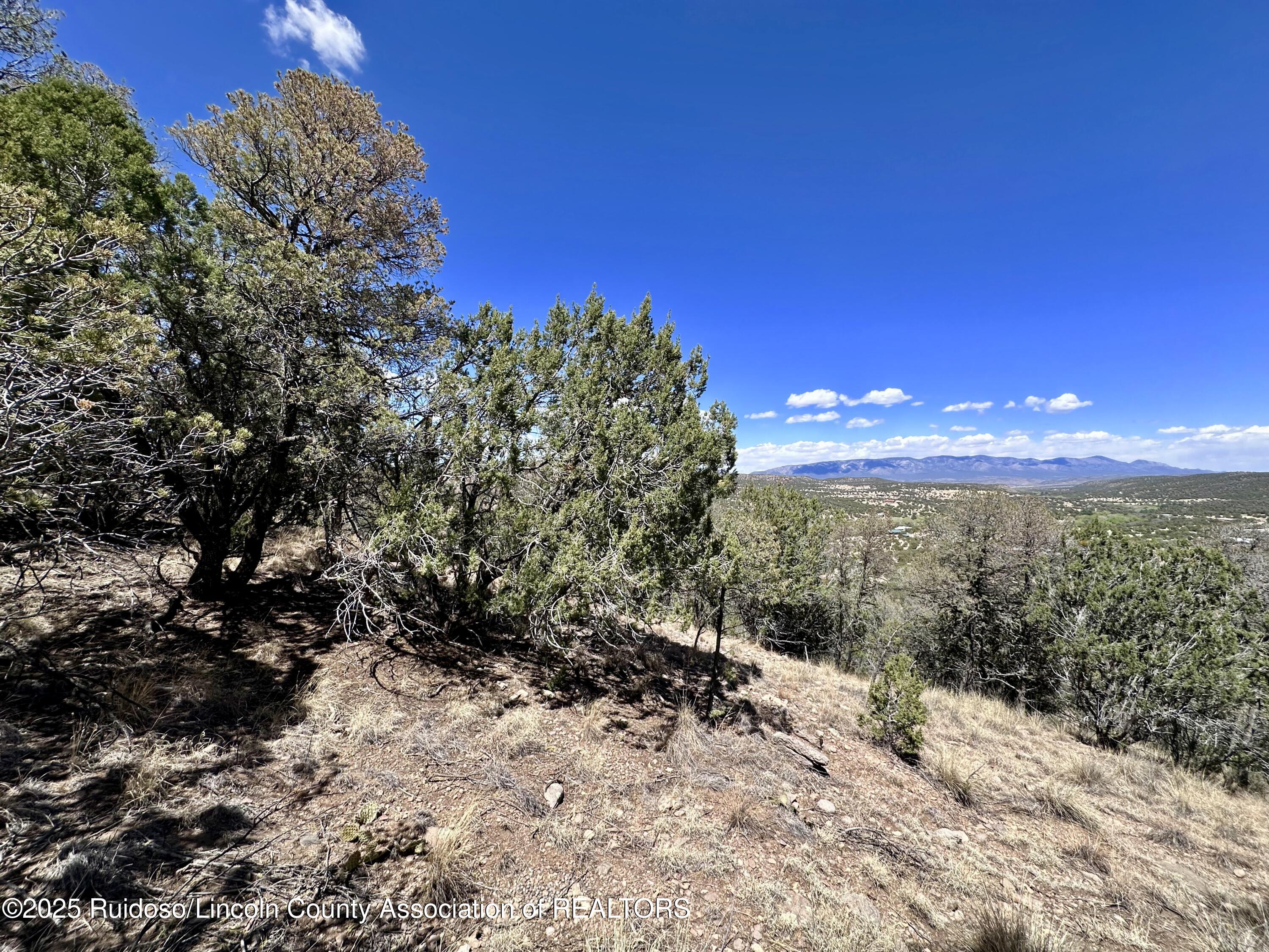 L347 Tierra Nueva Drive, Alto, New Mexico image 12