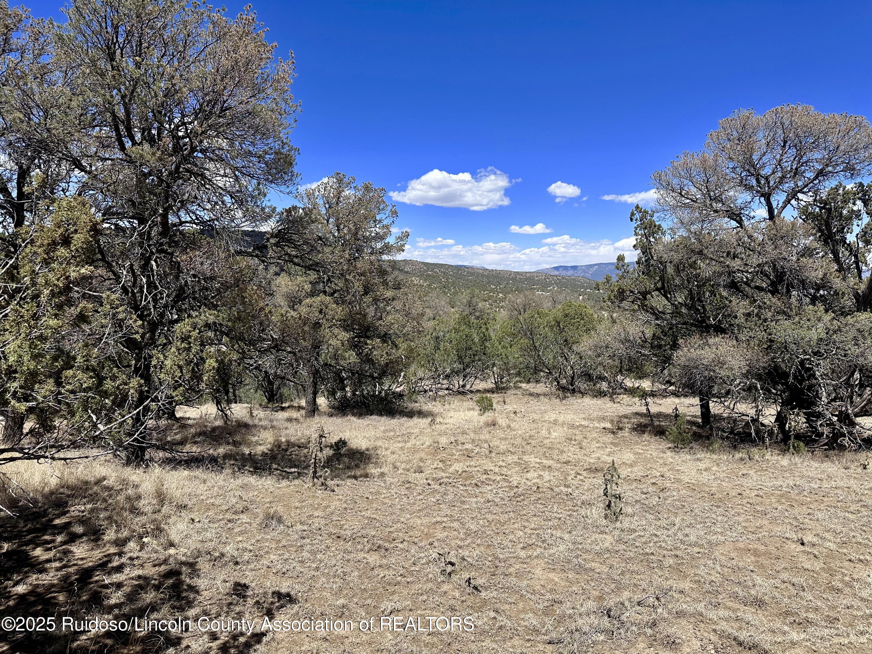 L347 Tierra Nueva Drive, Alto, New Mexico image 29