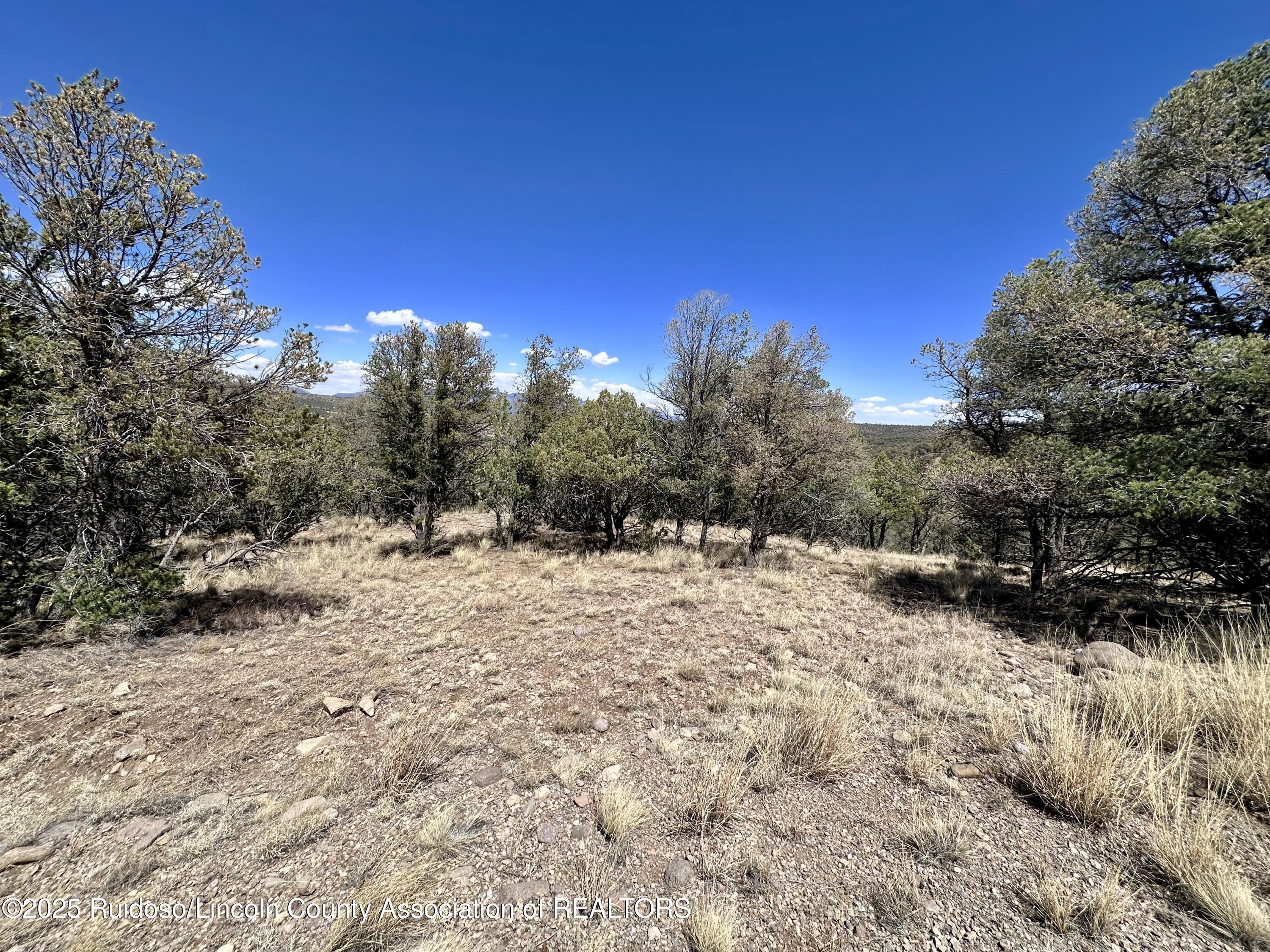 L347 Tierra Nueva Drive, Alto, New Mexico image 6