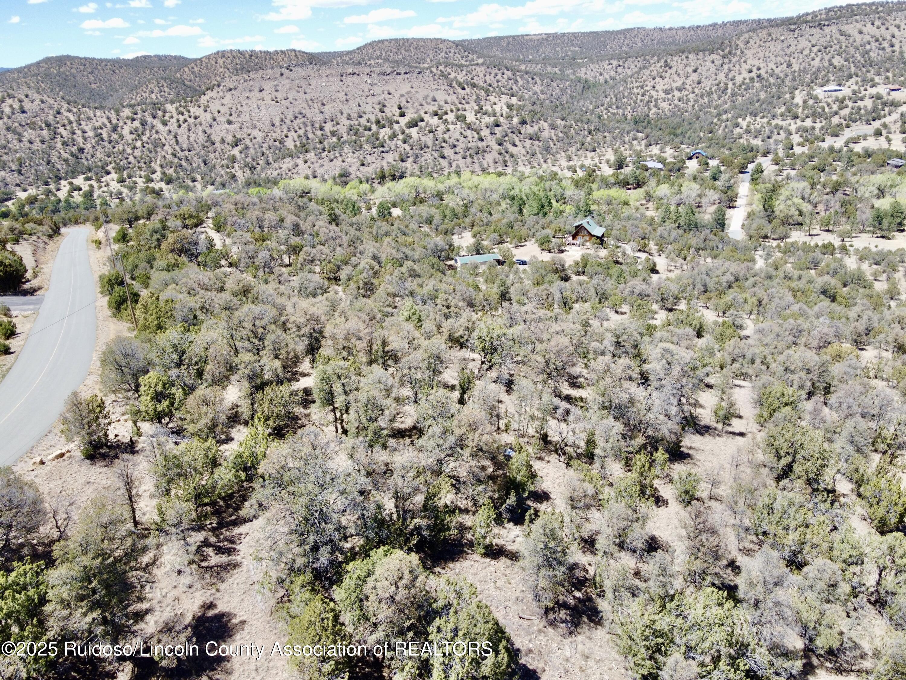 L347 Tierra Nueva Drive, Alto, New Mexico image 34