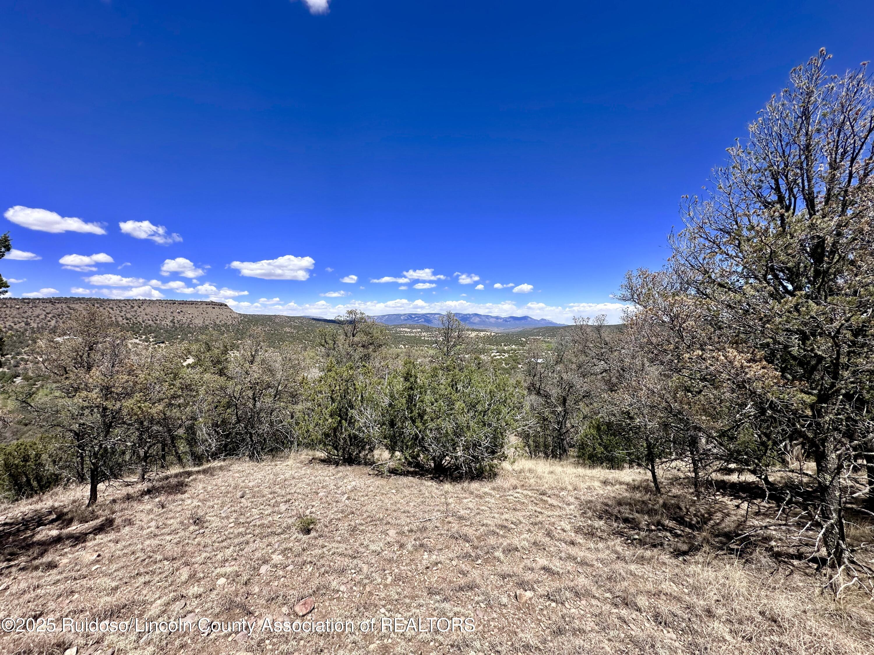 L347 Tierra Nueva Drive, Alto, New Mexico image 24