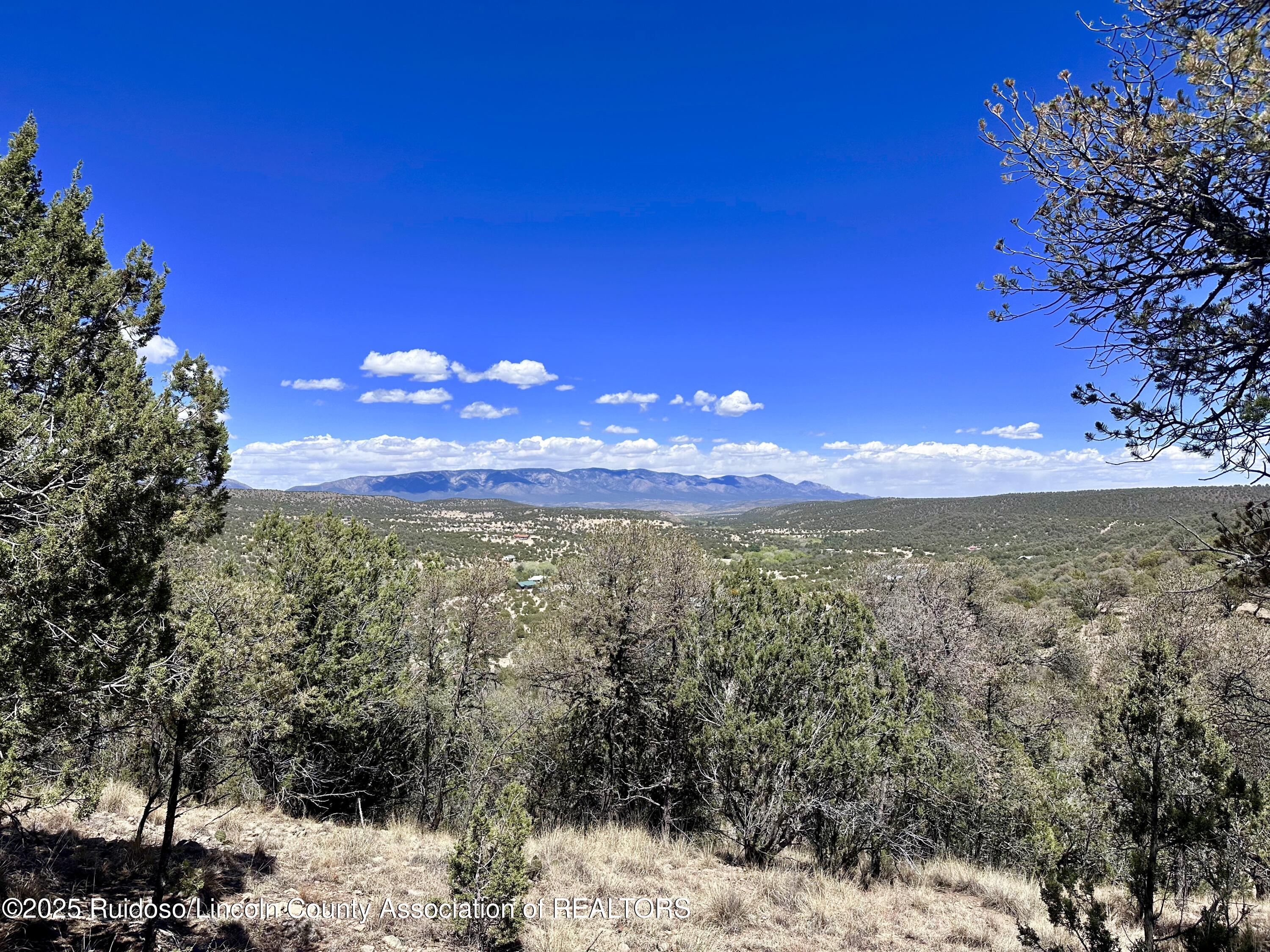 L347 Tierra Nueva Drive, Alto, New Mexico image 4