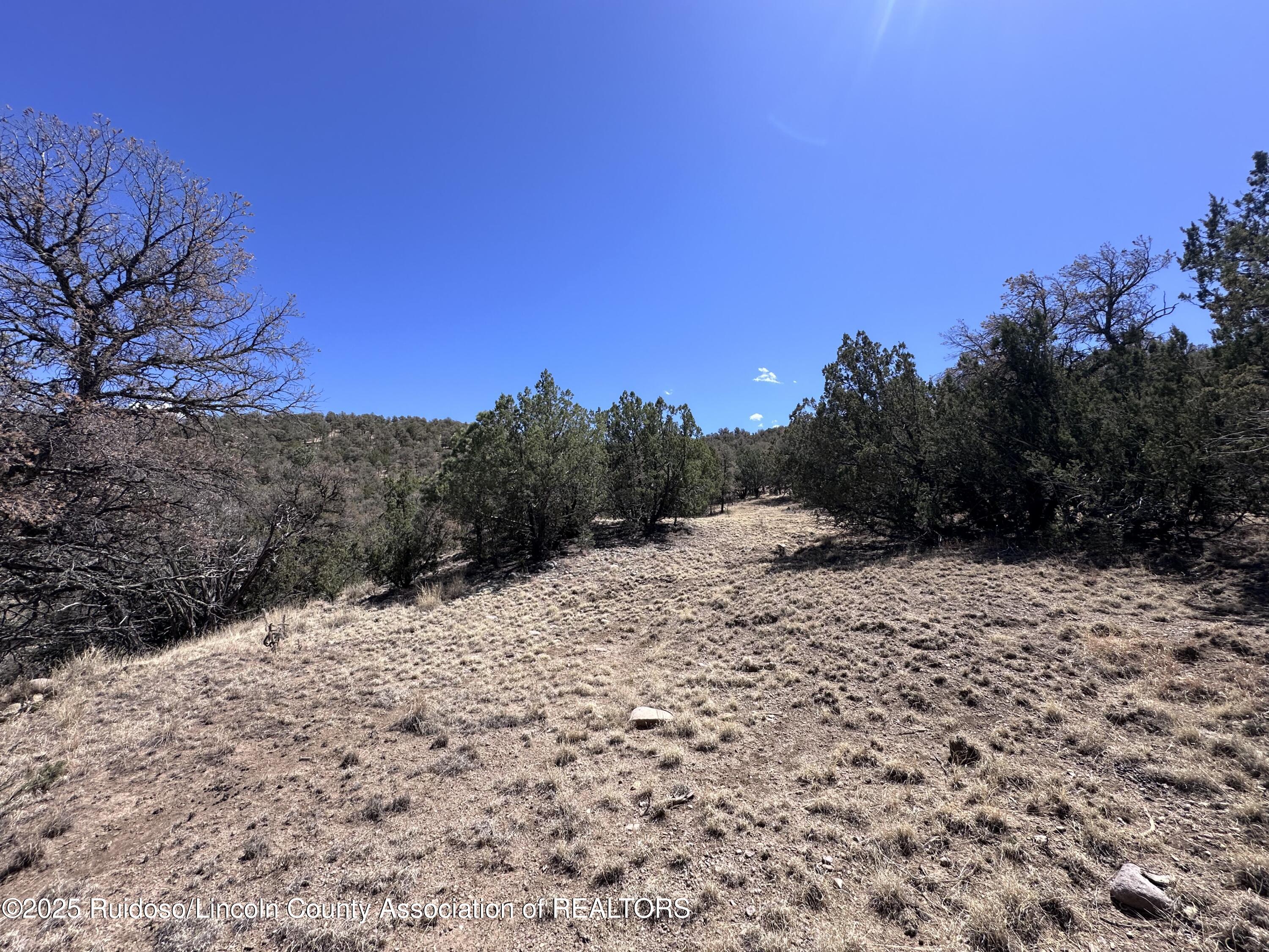 L347 Tierra Nueva Drive, Alto, New Mexico image 33