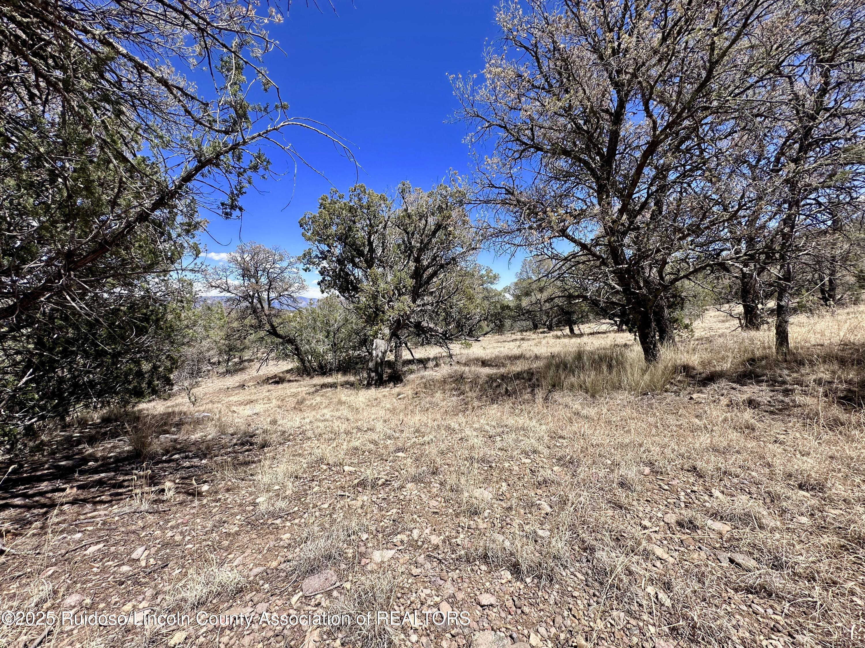 L347 Tierra Nueva Drive, Alto, New Mexico image 31