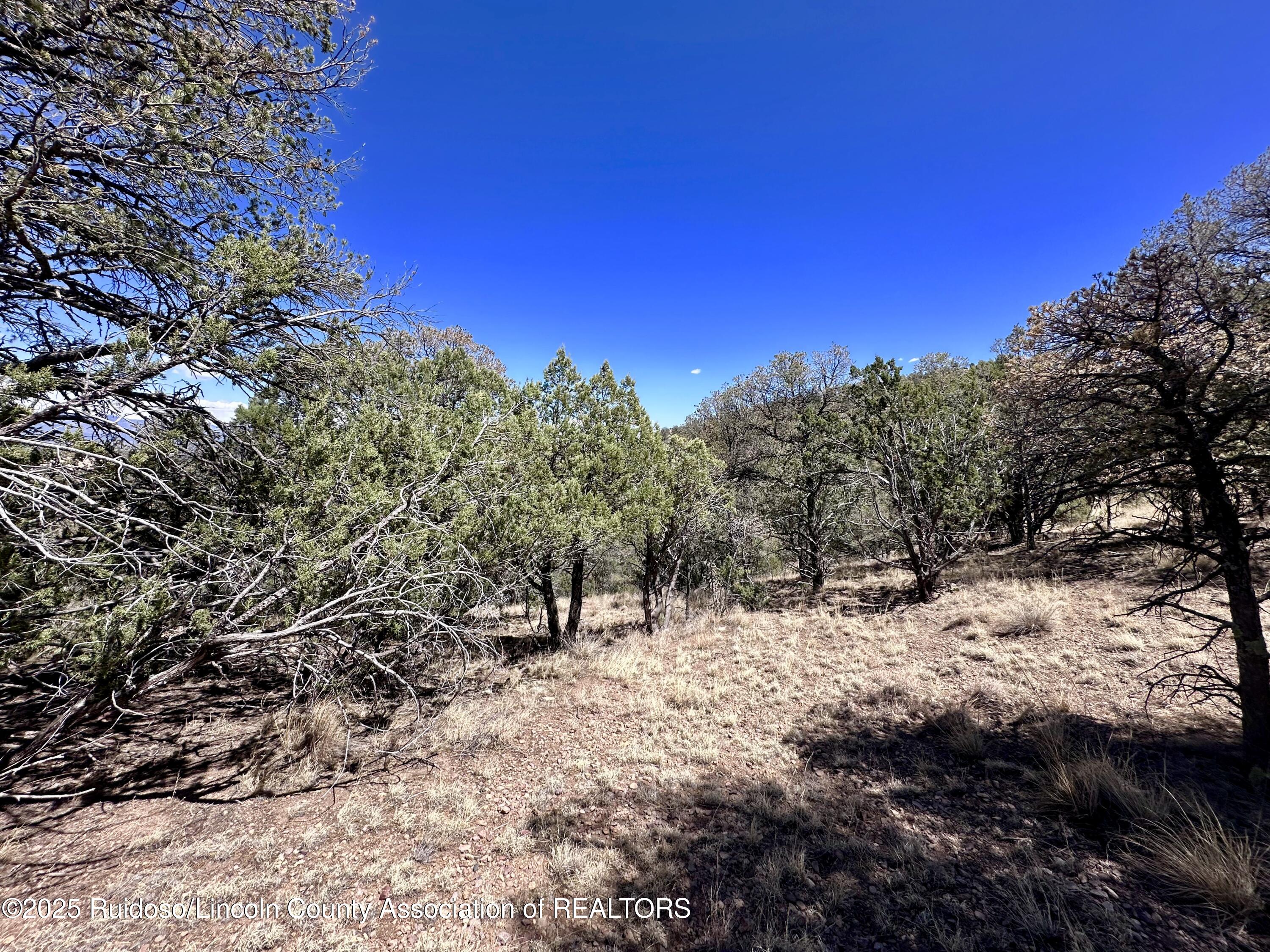 L347 Tierra Nueva Drive, Alto, New Mexico image 11