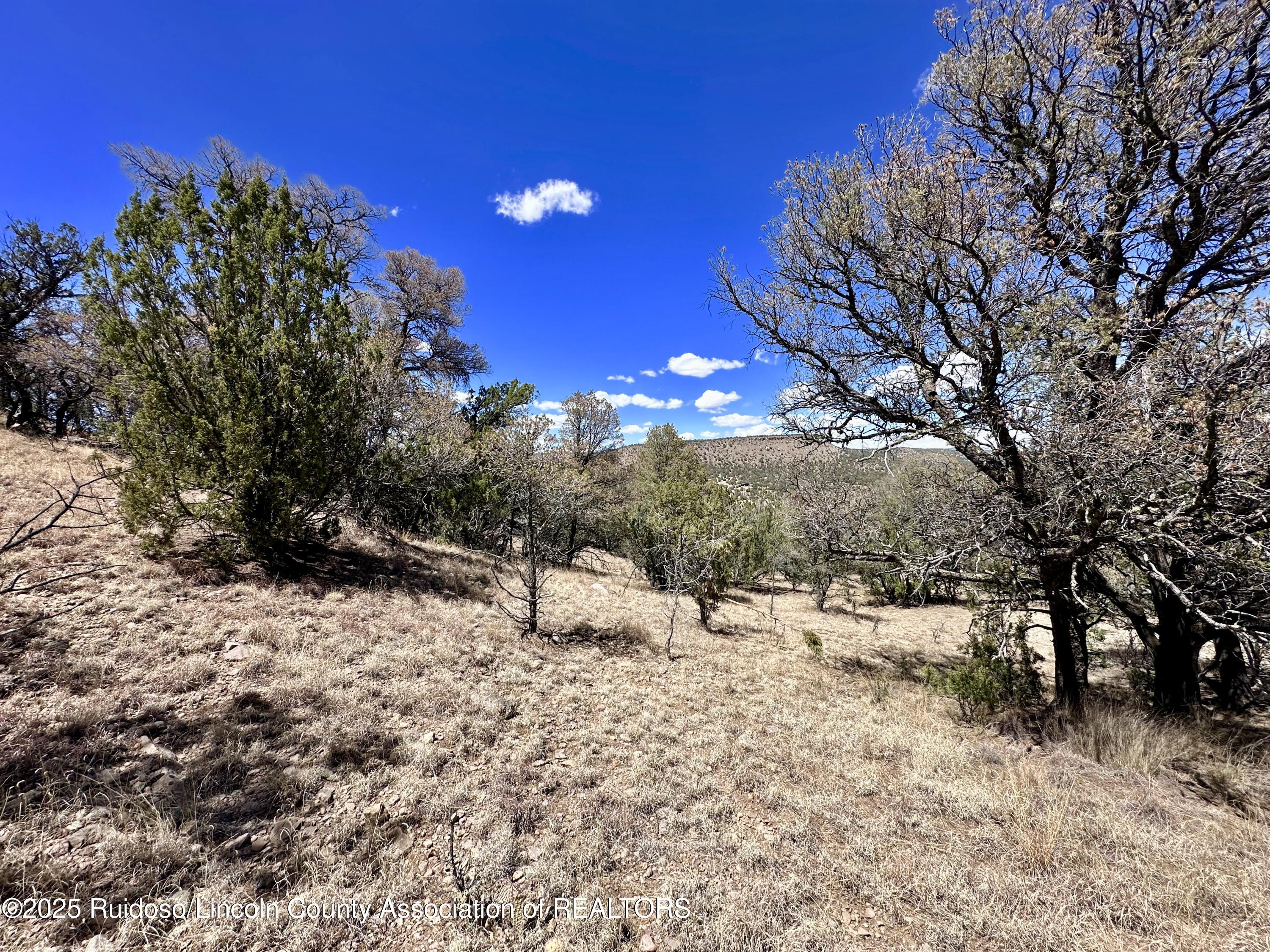 L347 Tierra Nueva Drive, Alto, New Mexico image 27