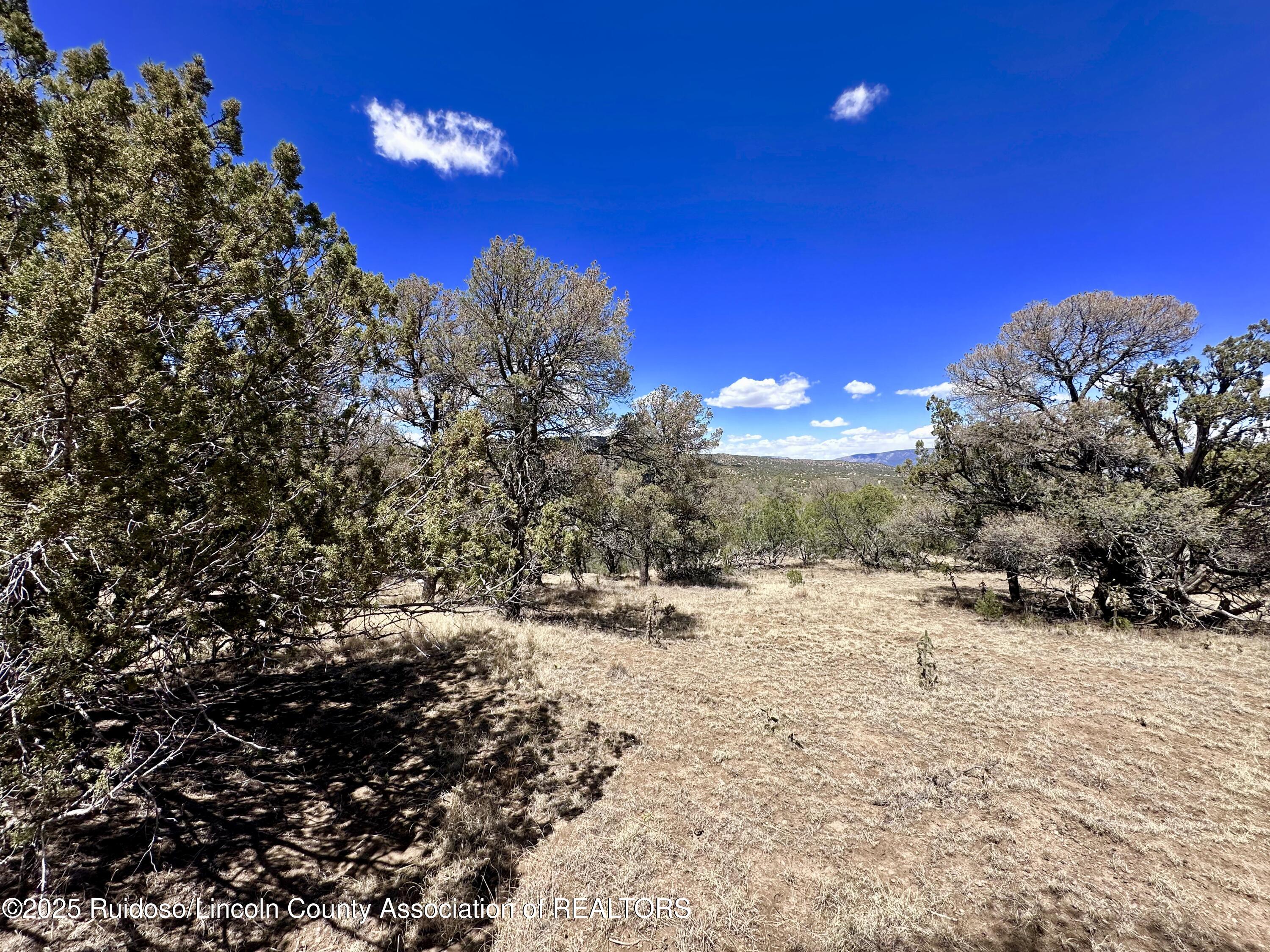 L347 Tierra Nueva Drive, Alto, New Mexico image 7