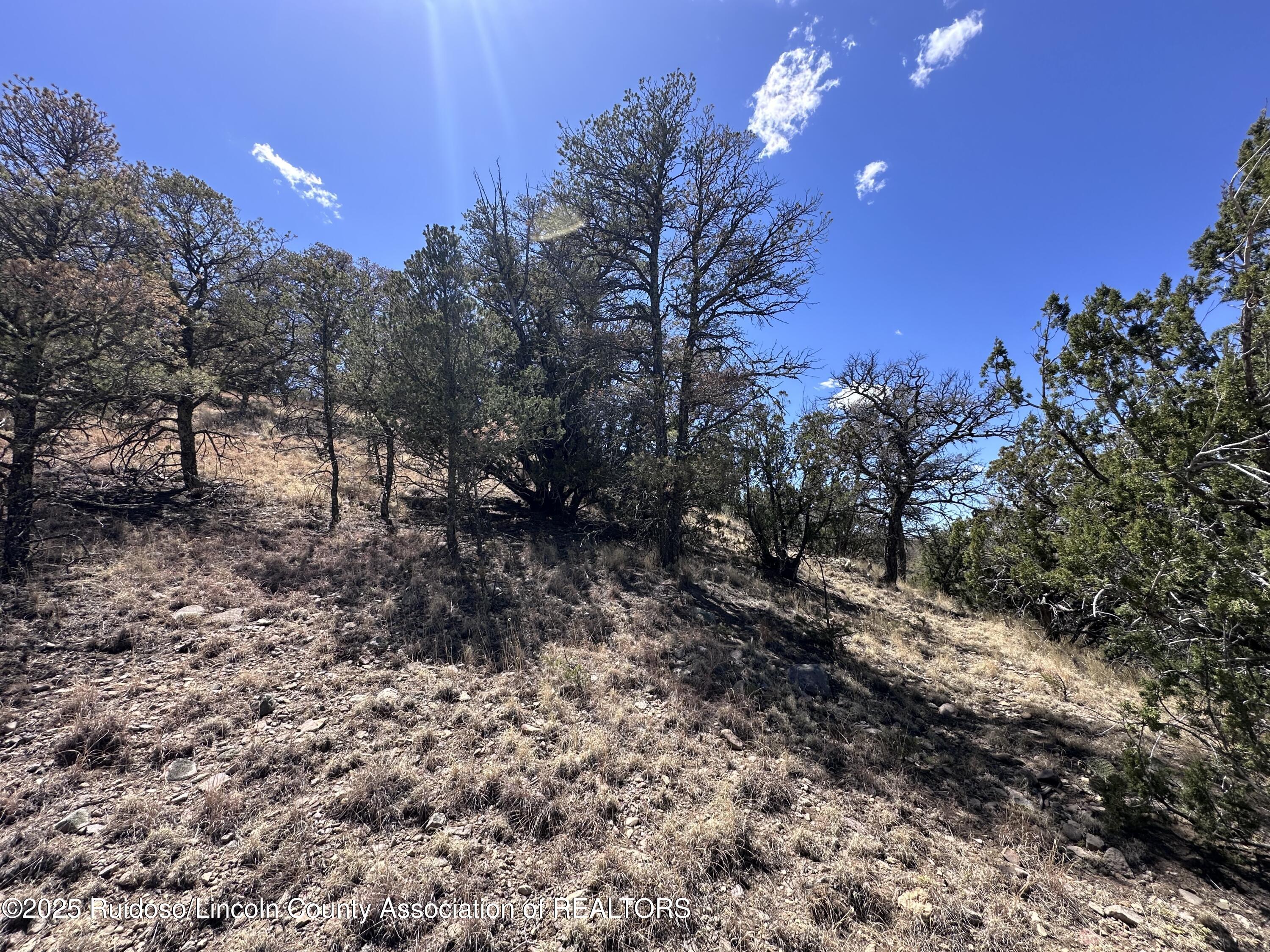 L347 Tierra Nueva Drive, Alto, New Mexico image 25