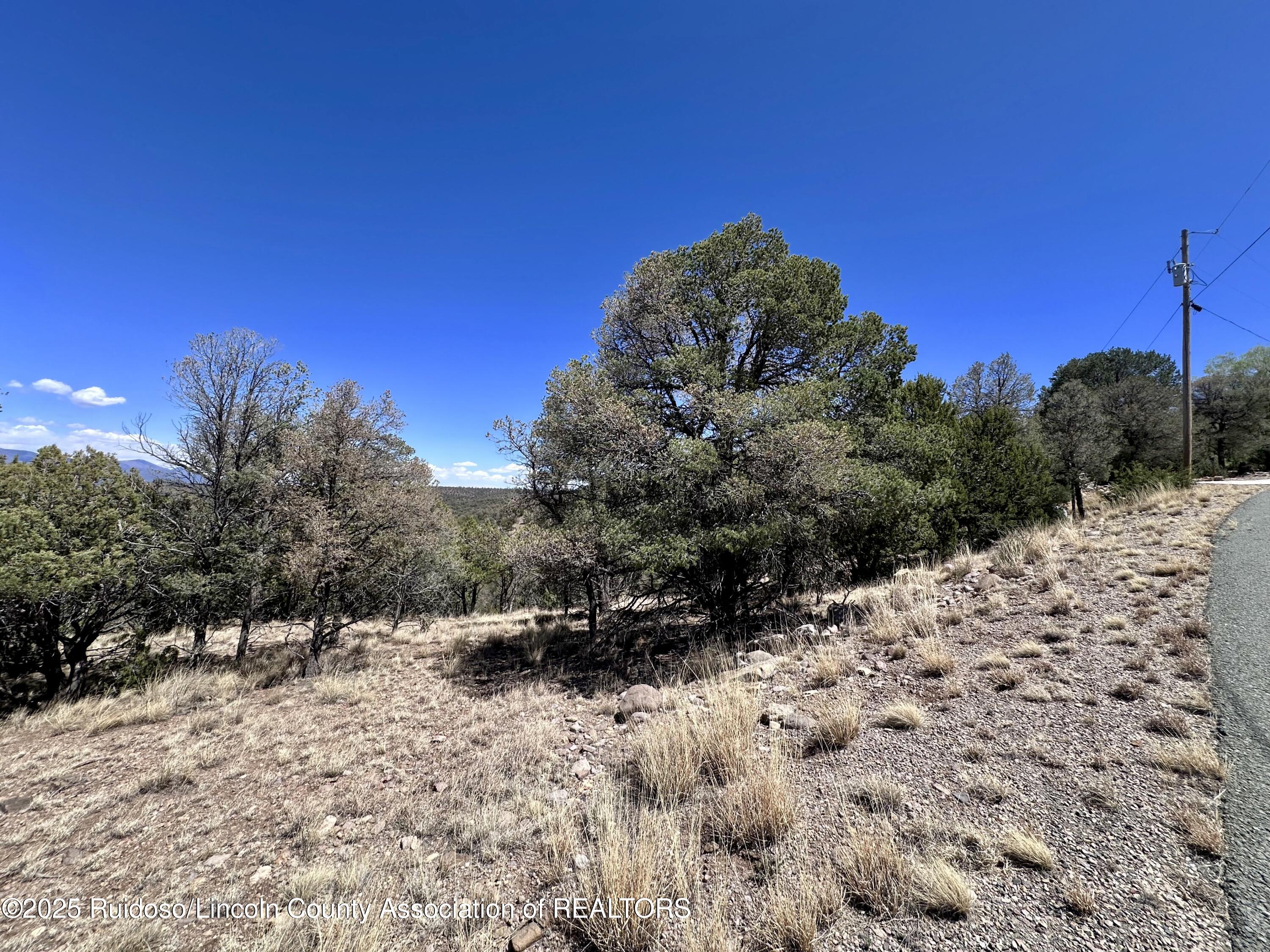 L347 Tierra Nueva Drive, Alto, New Mexico image 8