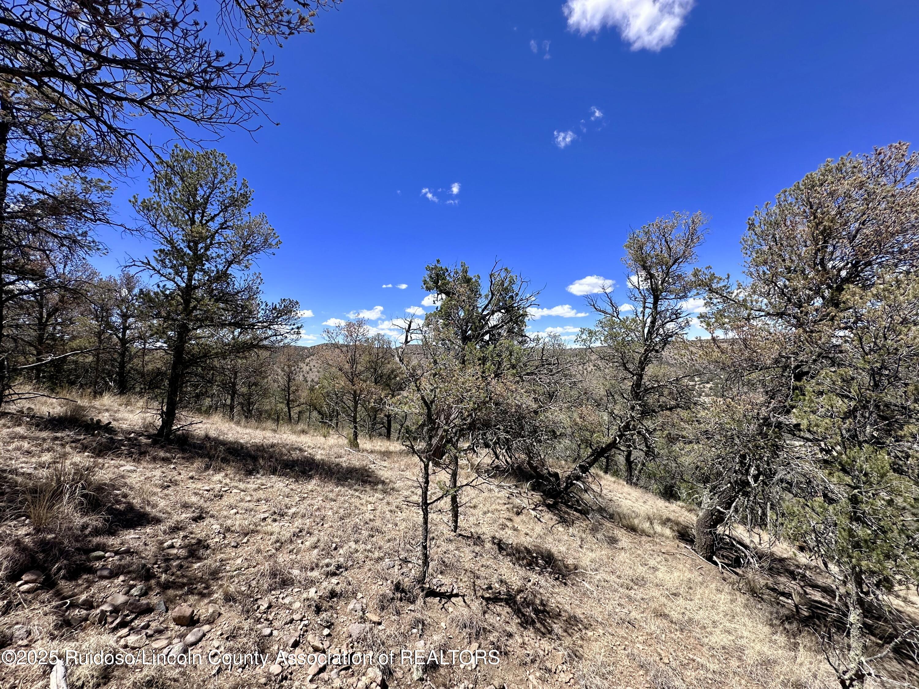 L347 Tierra Nueva Drive, Alto, New Mexico image 17
