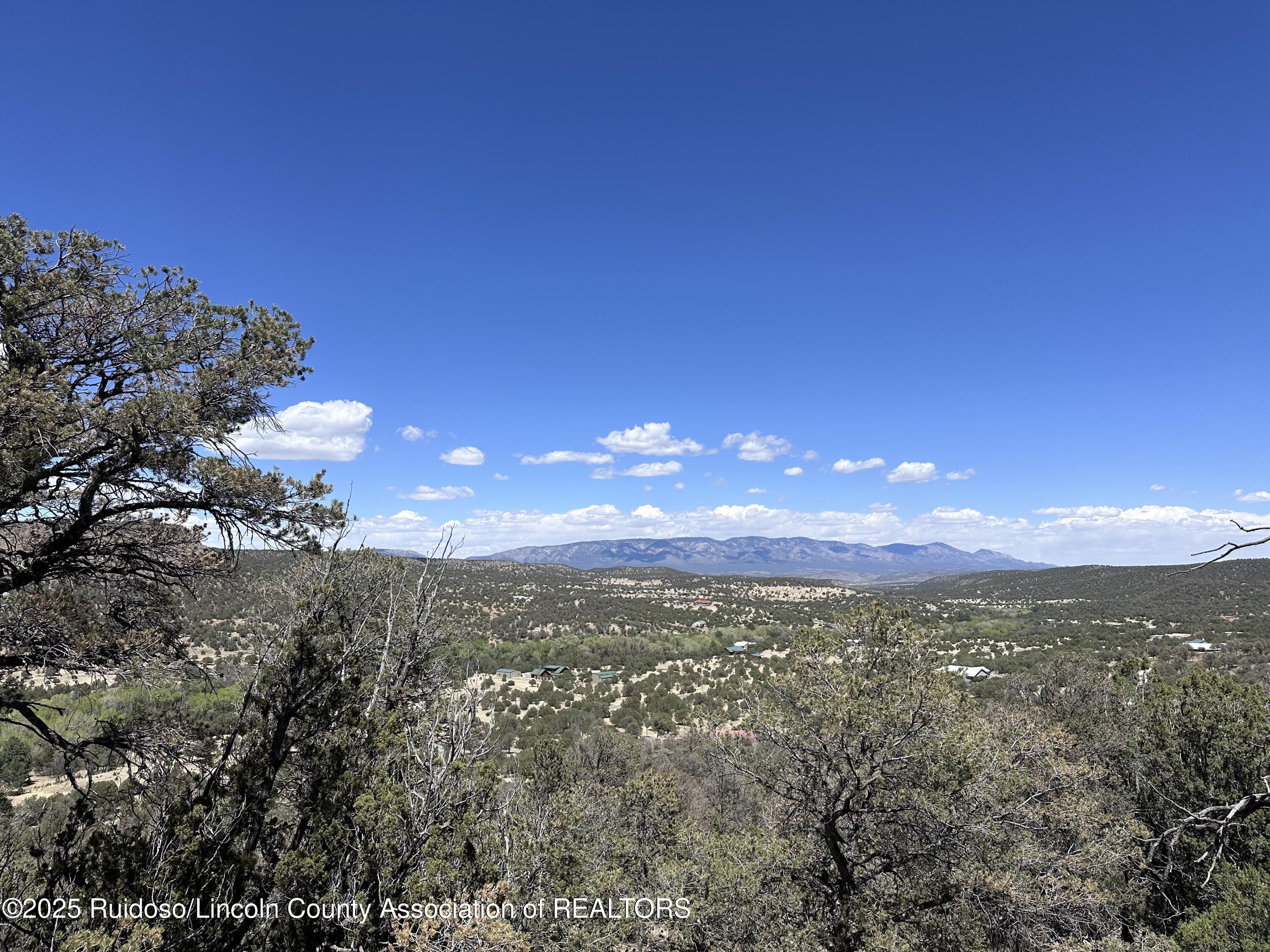 L347 Tierra Nueva Drive, Alto, New Mexico image 23