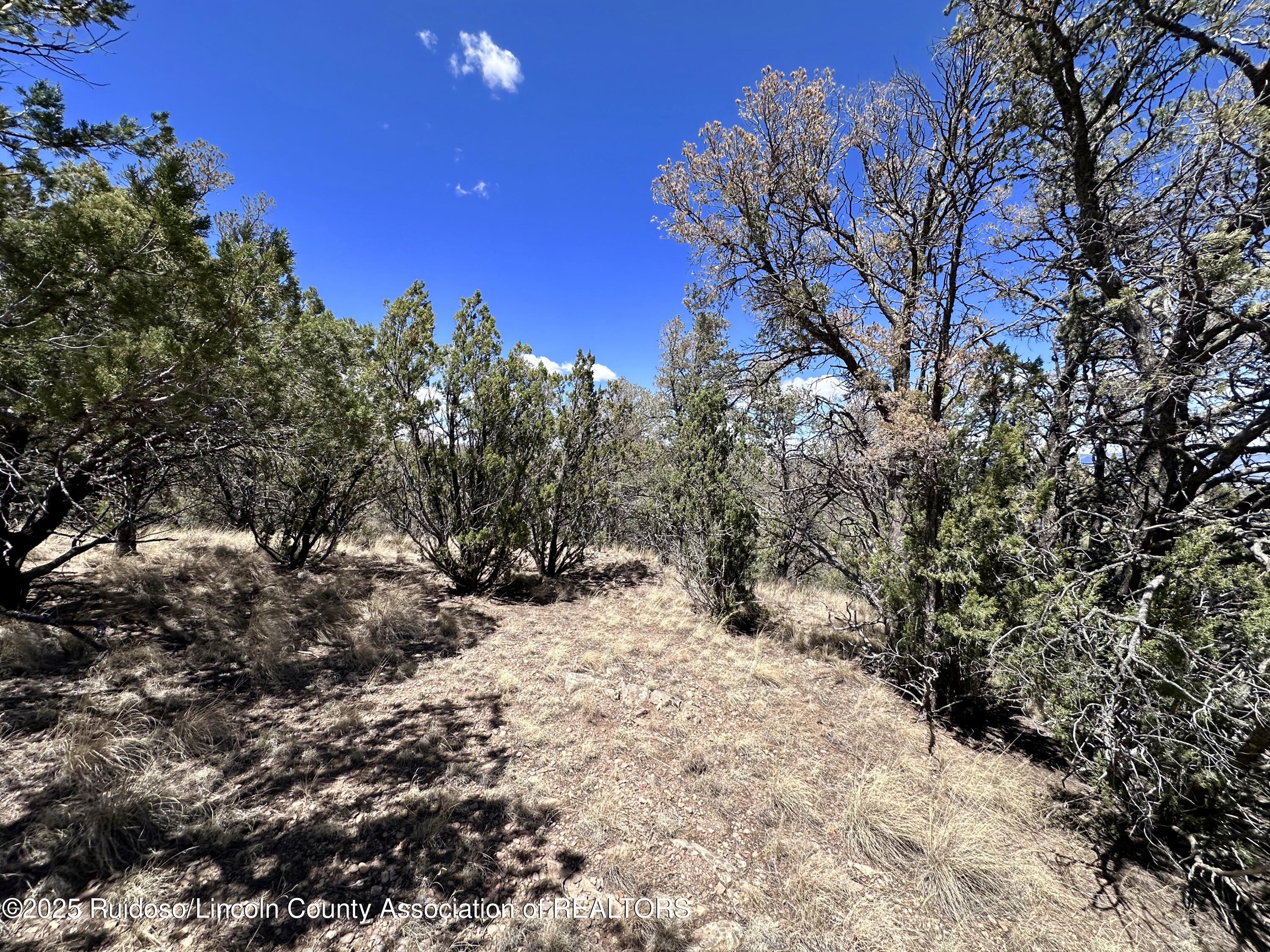 L347 Tierra Nueva Drive, Alto, New Mexico image 10