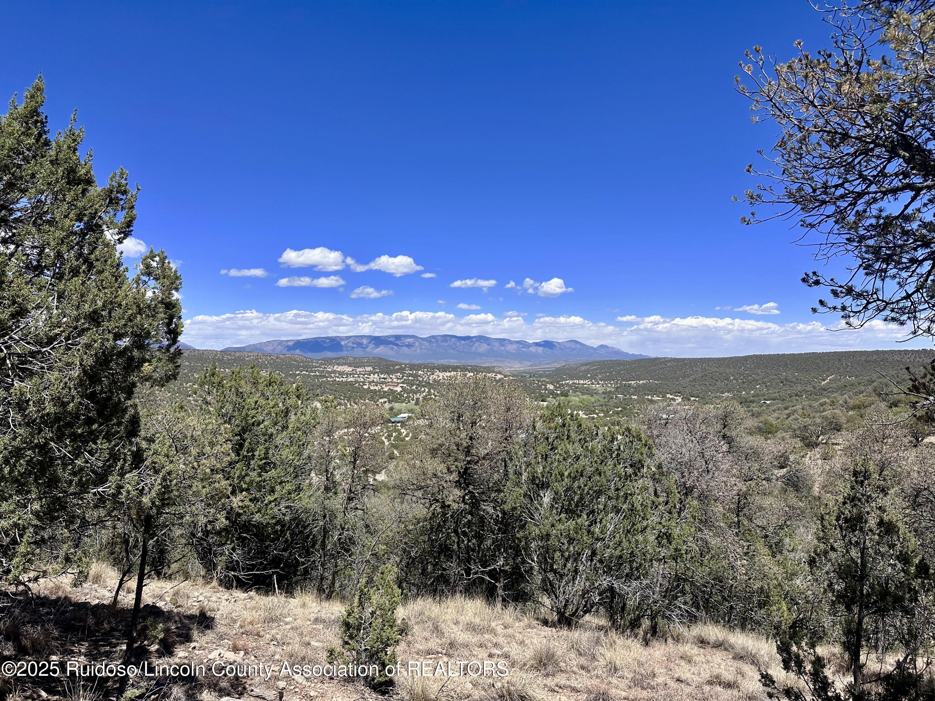 L347 Tierra Nueva Drive, Alto, New Mexico image 14