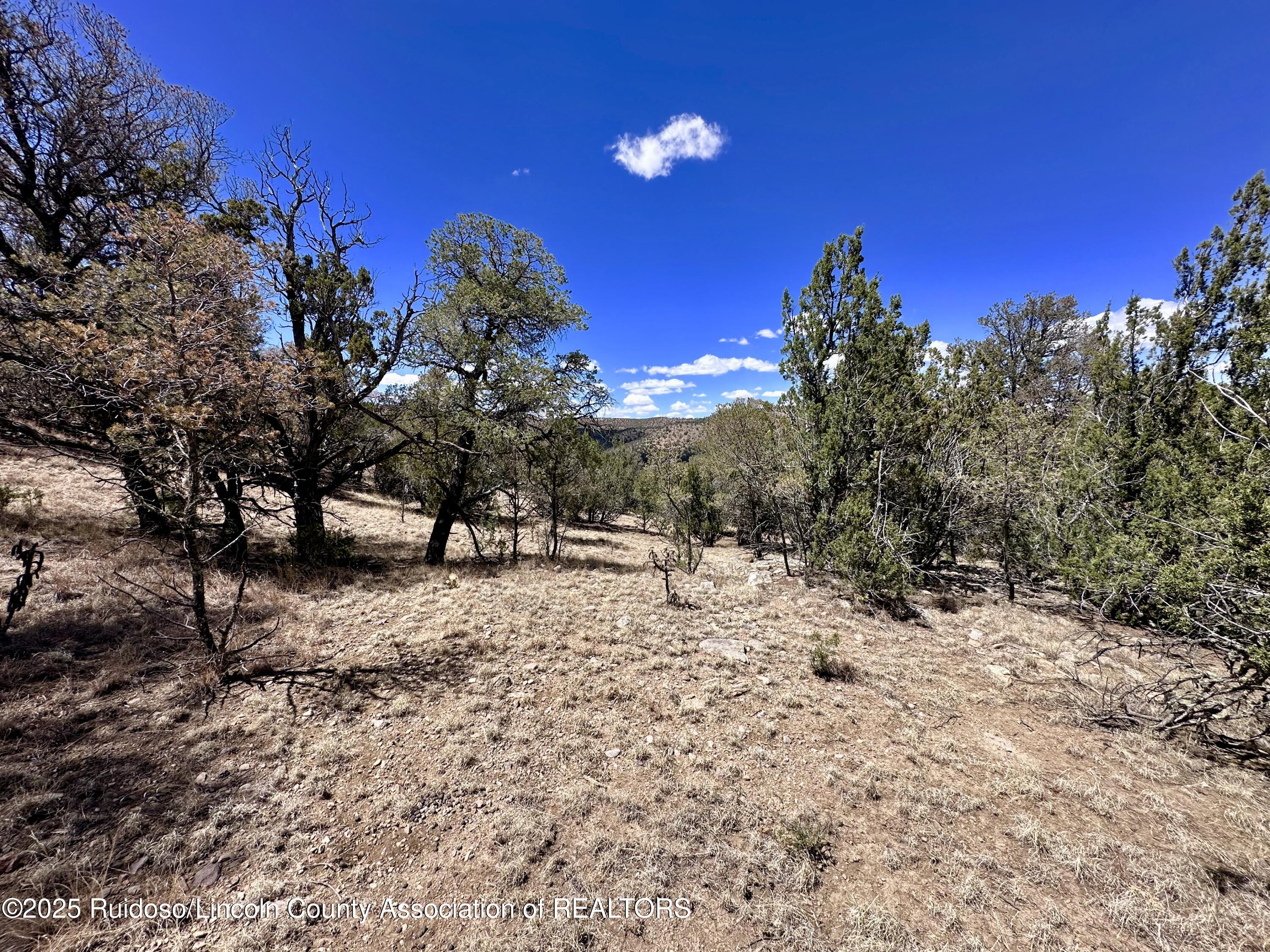 L347 Tierra Nueva Drive, Alto, New Mexico image 28