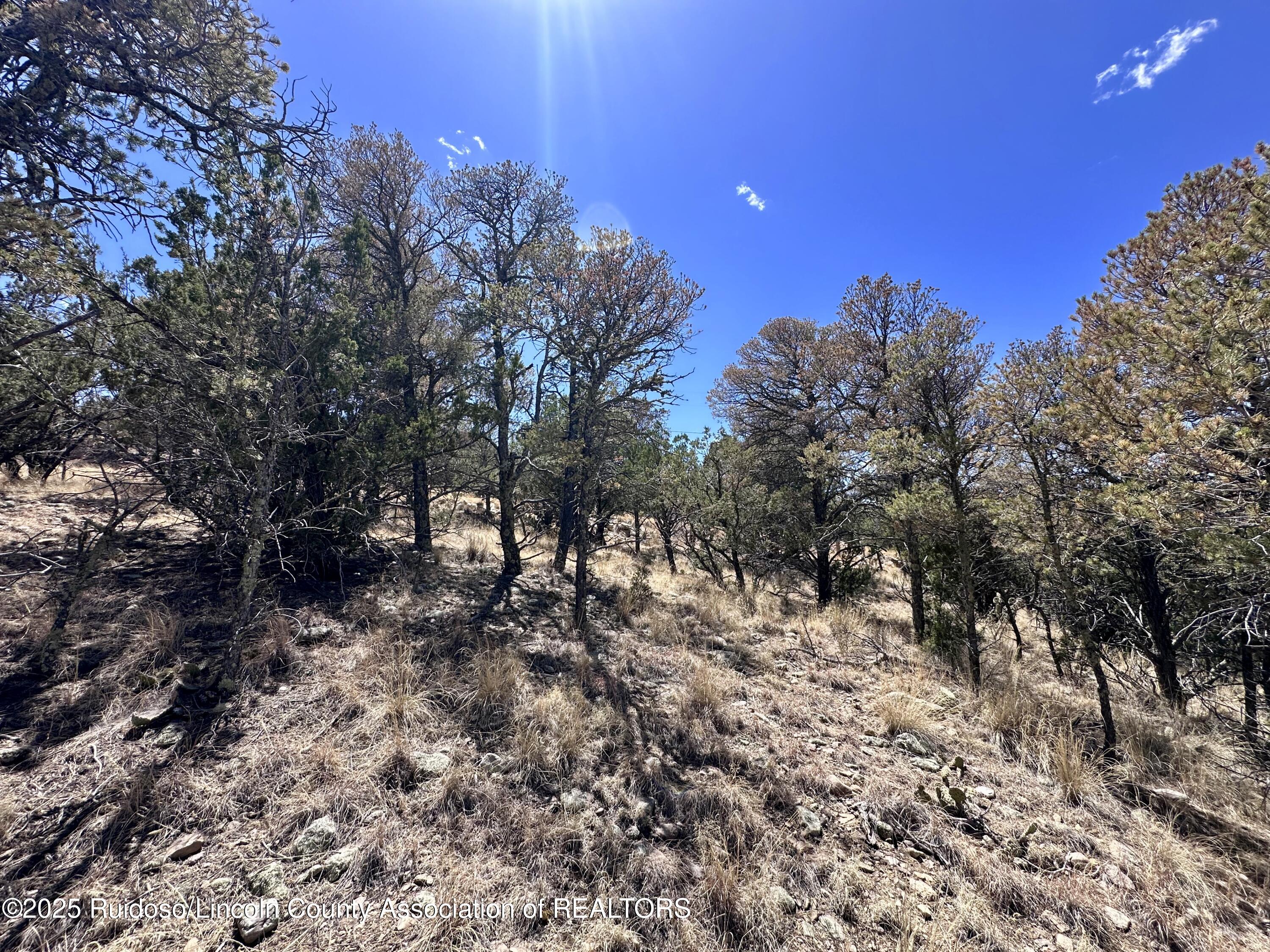 L347 Tierra Nueva Drive, Alto, New Mexico image 18