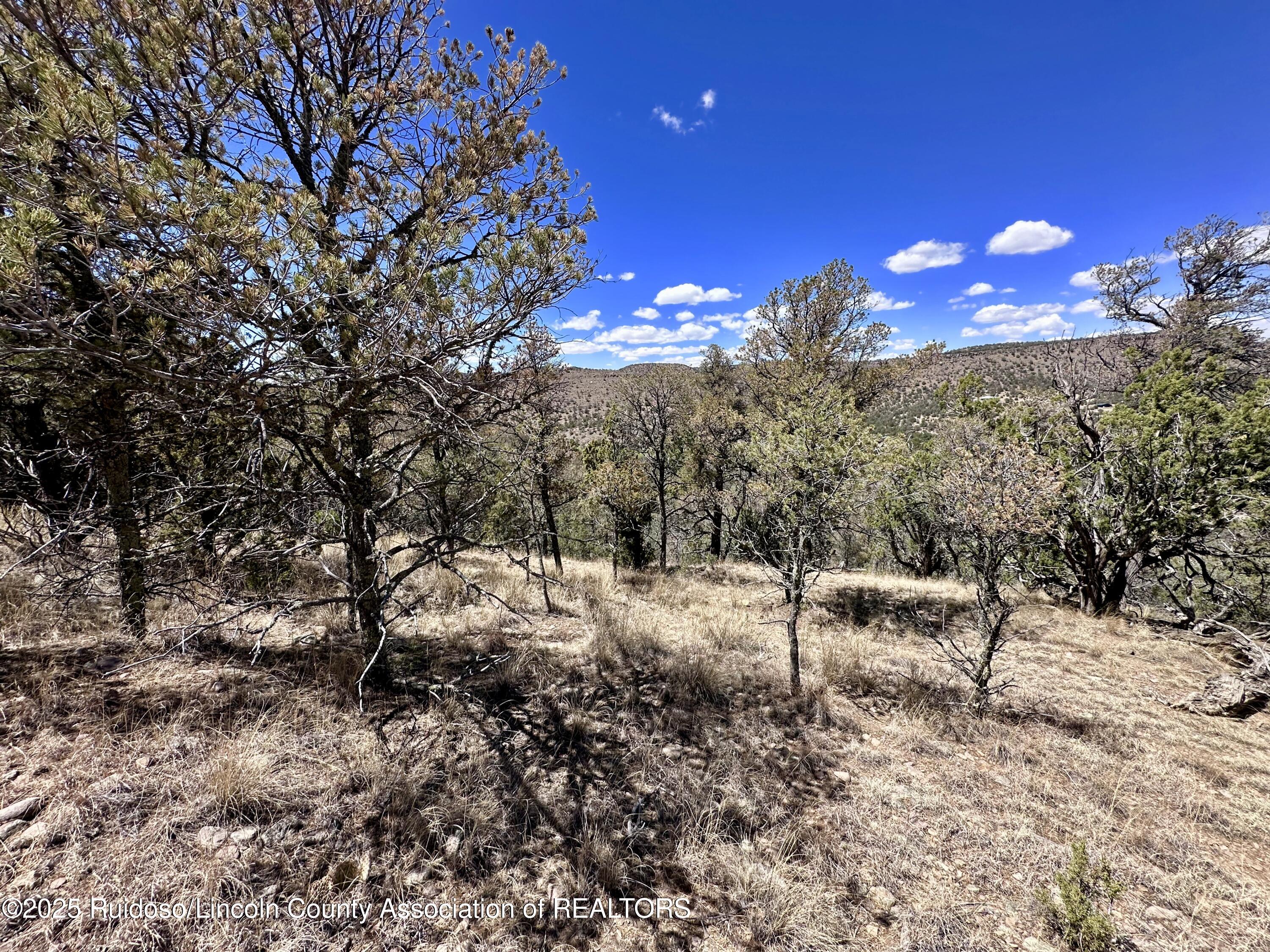 L347 Tierra Nueva Drive, Alto, New Mexico image 19