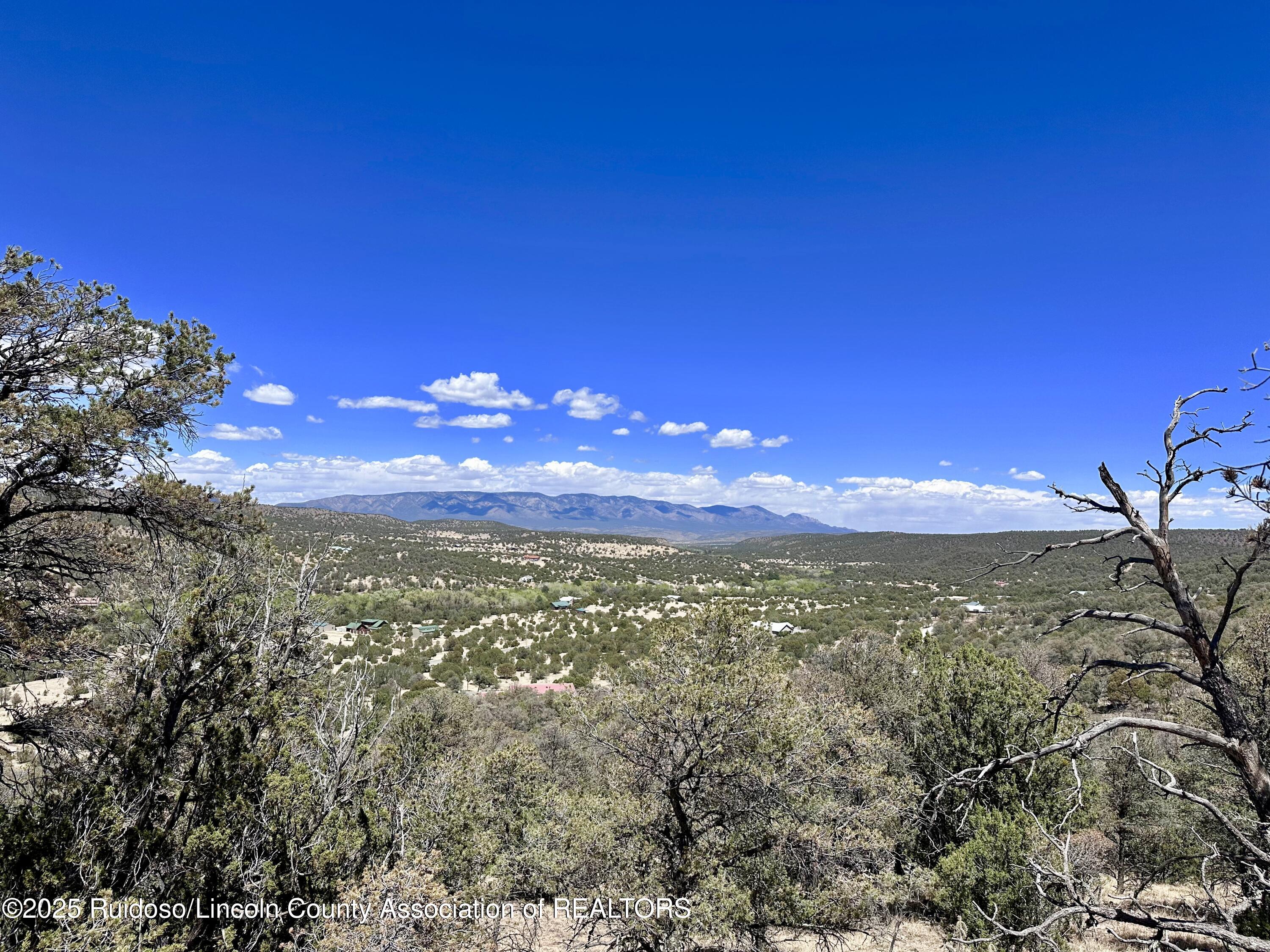 L347 Tierra Nueva Drive, Alto, New Mexico image 22