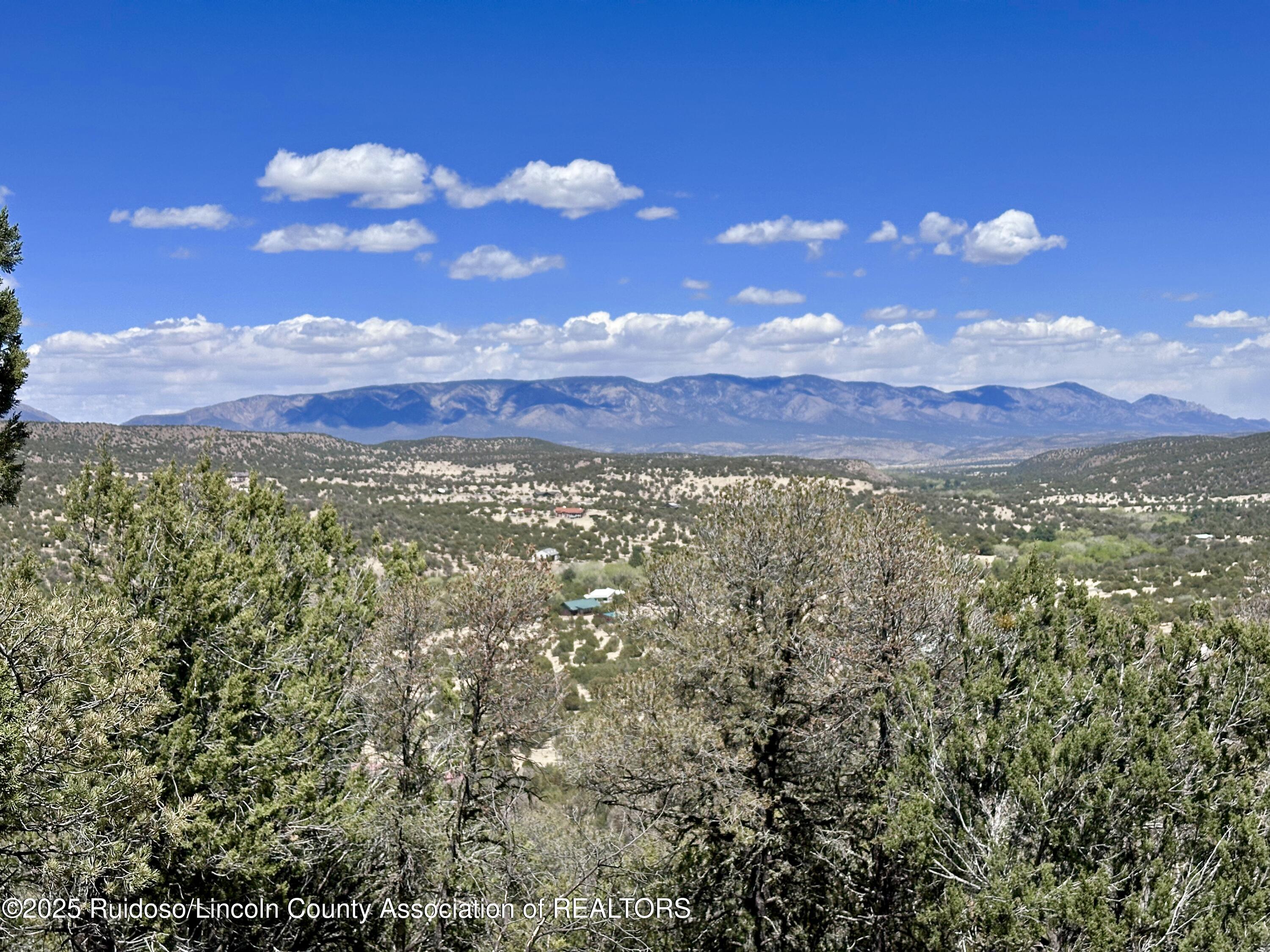 L347 Tierra Nueva Drive, Alto, New Mexico image 1
