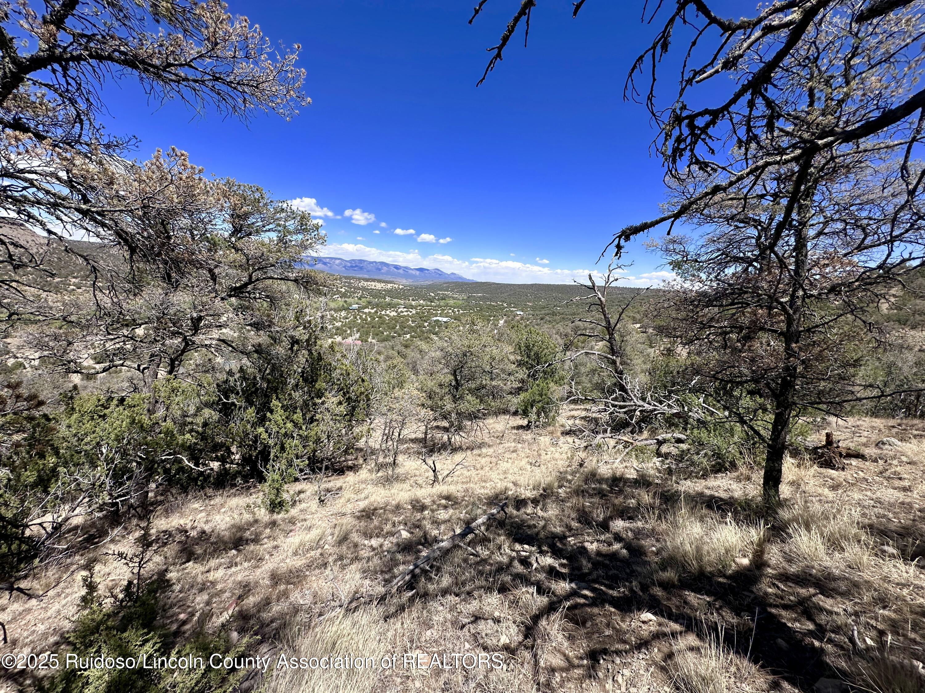 L347 Tierra Nueva Drive, Alto, New Mexico image 21