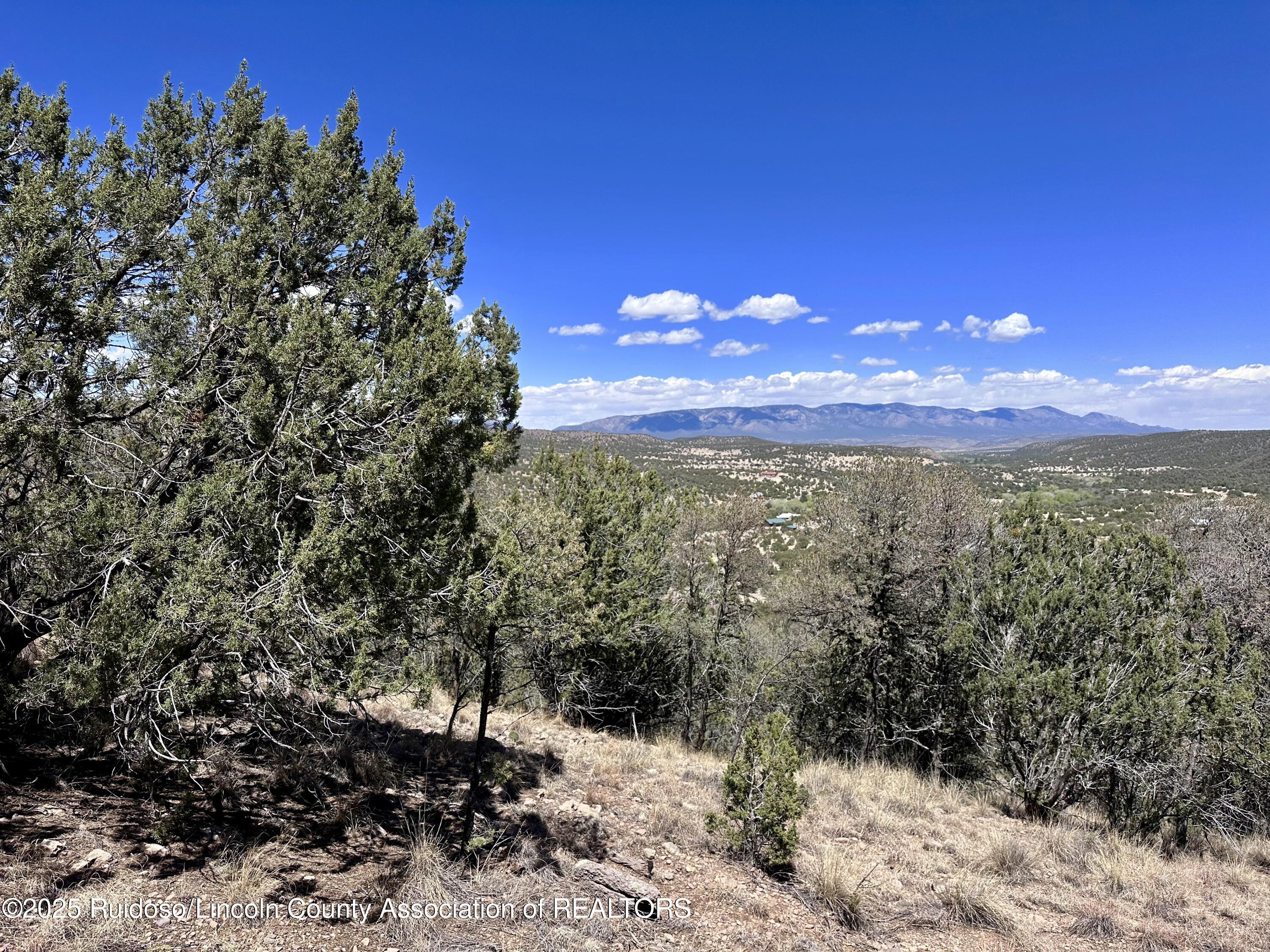 L347 Tierra Nueva Drive, Alto, New Mexico image 13