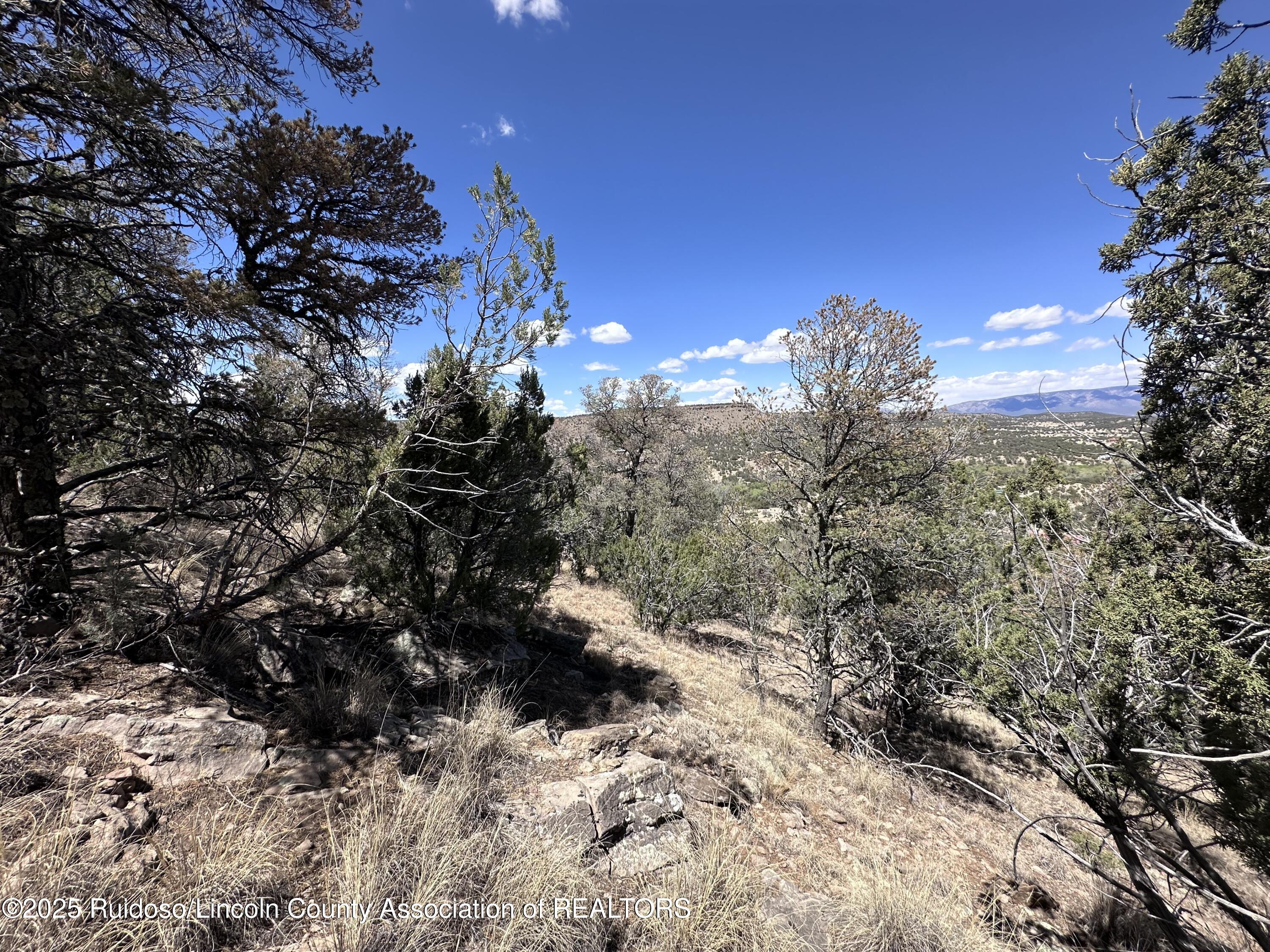 L347 Tierra Nueva Drive, Alto, New Mexico image 16