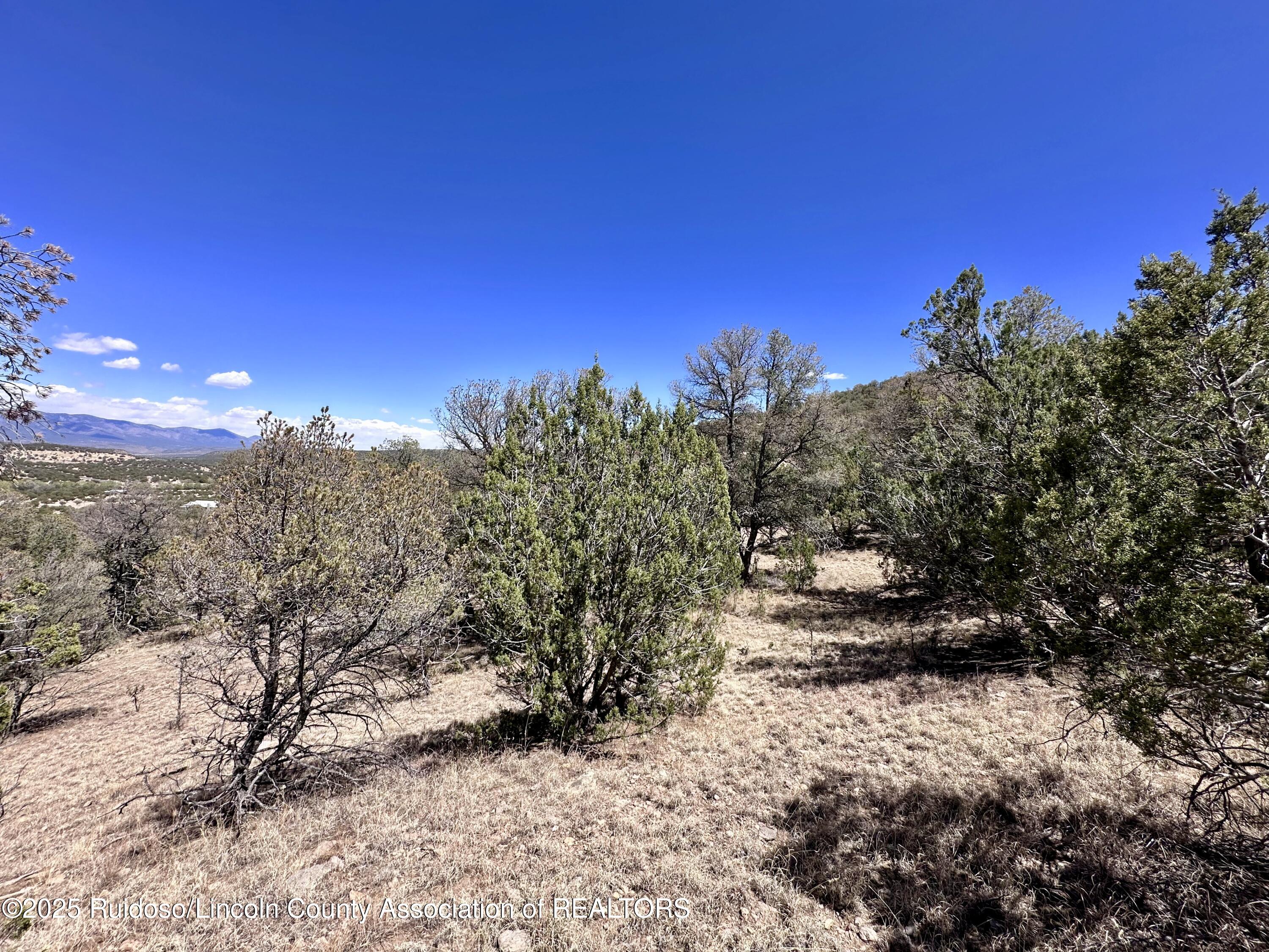 L347 Tierra Nueva Drive, Alto, New Mexico image 26