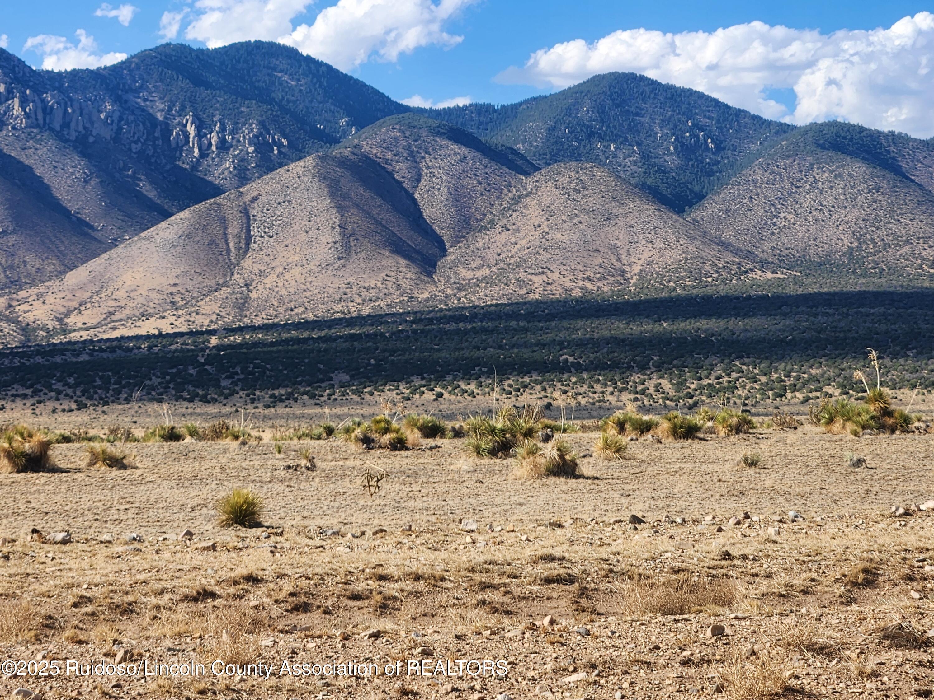 Lot 2B O Bar O Road, Carrizozo, New Mexico image 16