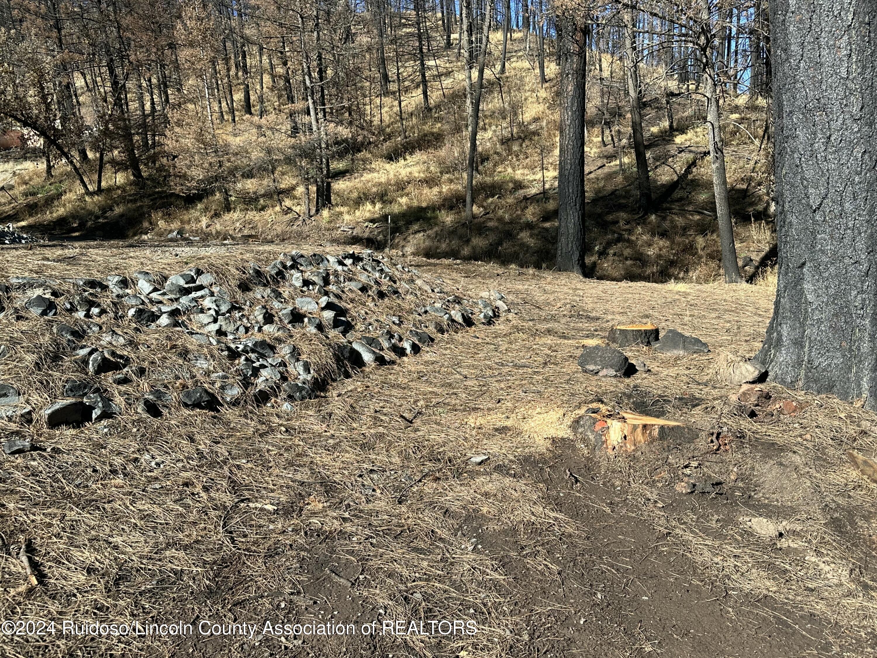 157 Jarratt Lp Loop, Ruidoso, New Mexico image 9