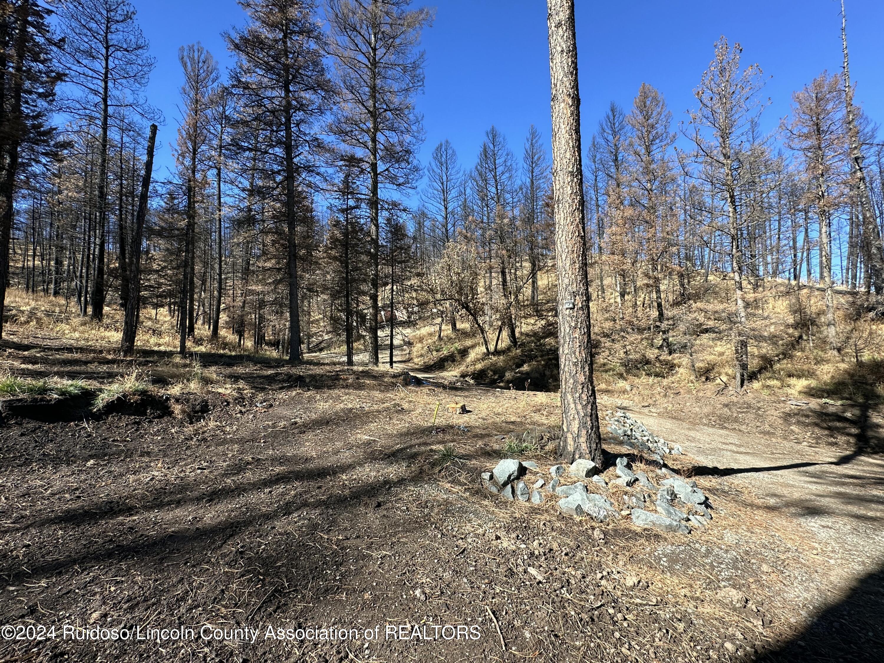 157 Jarratt Lp Loop, Ruidoso, New Mexico image 2