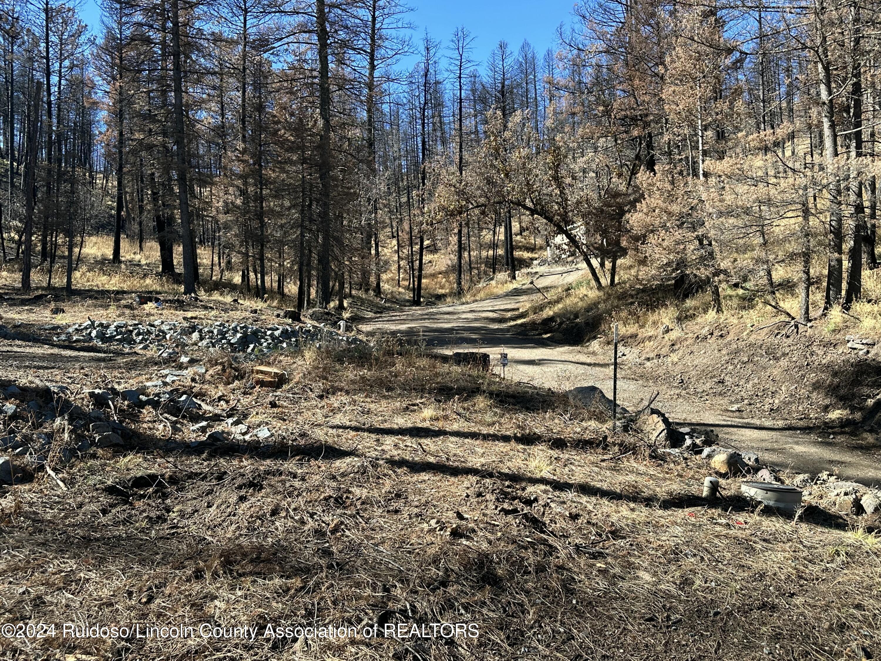 157 Jarratt Lp Loop, Ruidoso, New Mexico image 6