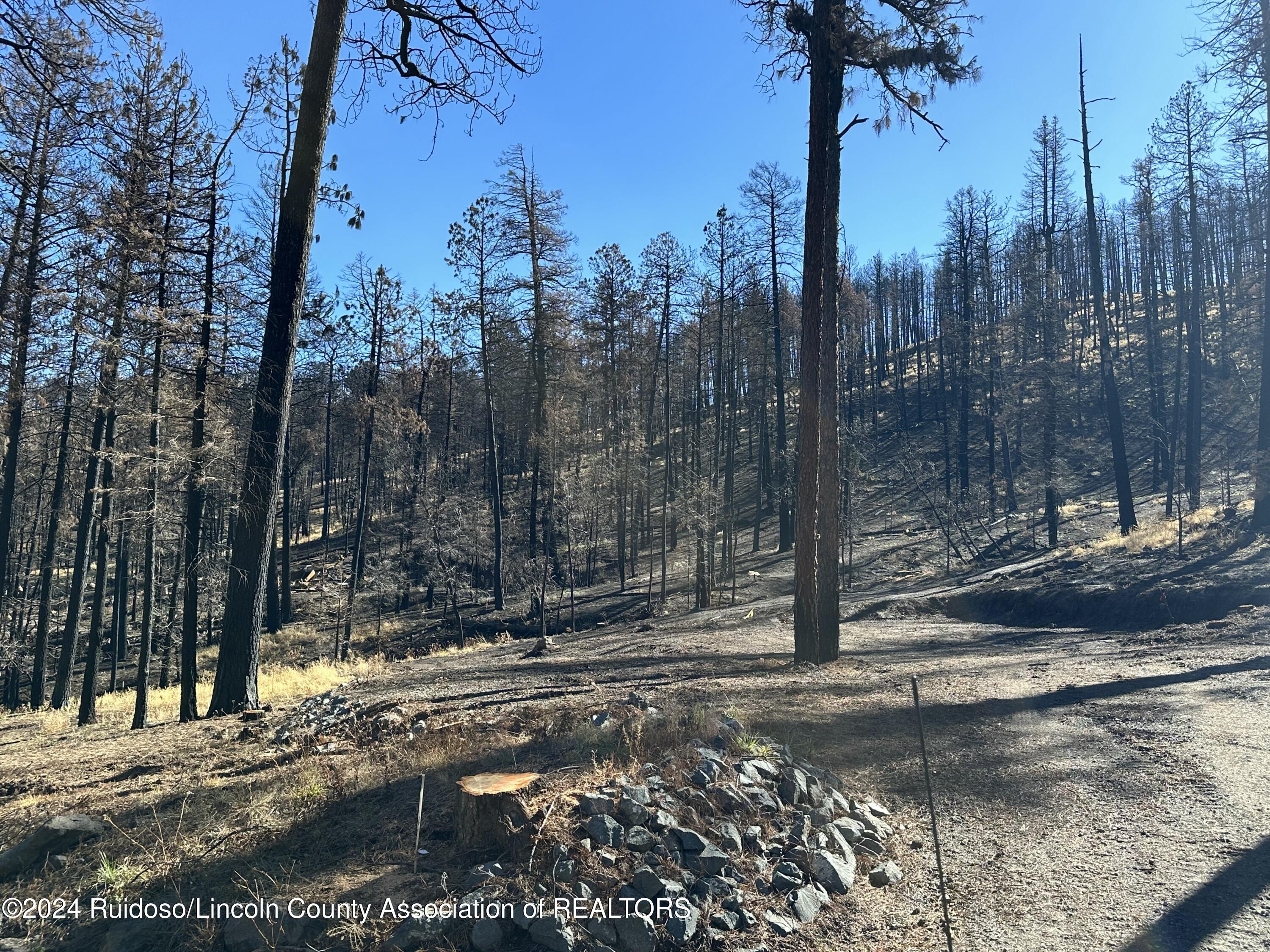 157 Jarratt Lp Loop, Ruidoso, New Mexico image 3