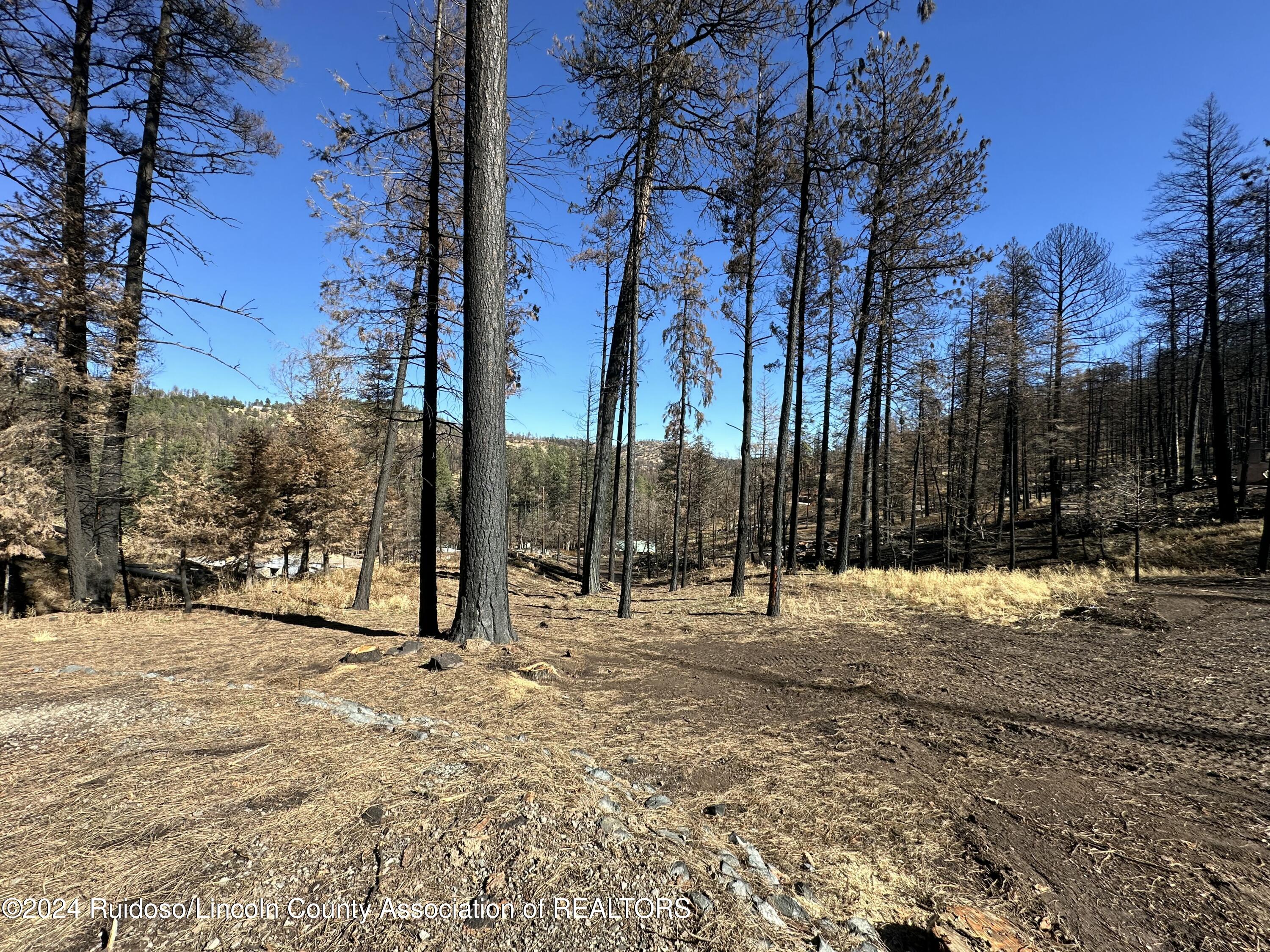 157 Jarratt Lp Loop, Ruidoso, New Mexico image 23