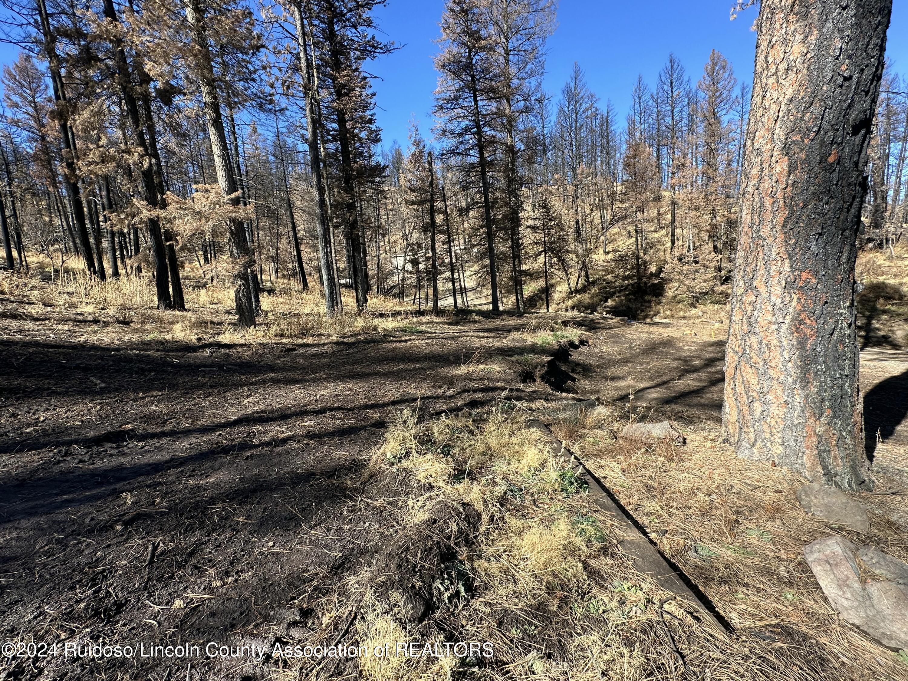 157 Jarratt Lp Loop, Ruidoso, New Mexico image 17