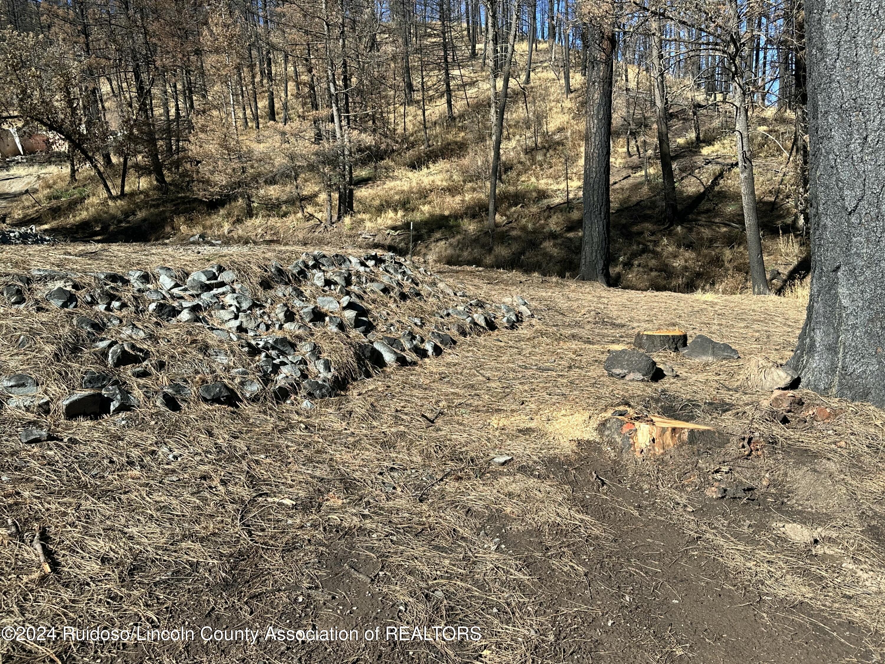 157 Jarratt Lp Loop, Ruidoso, New Mexico image 7