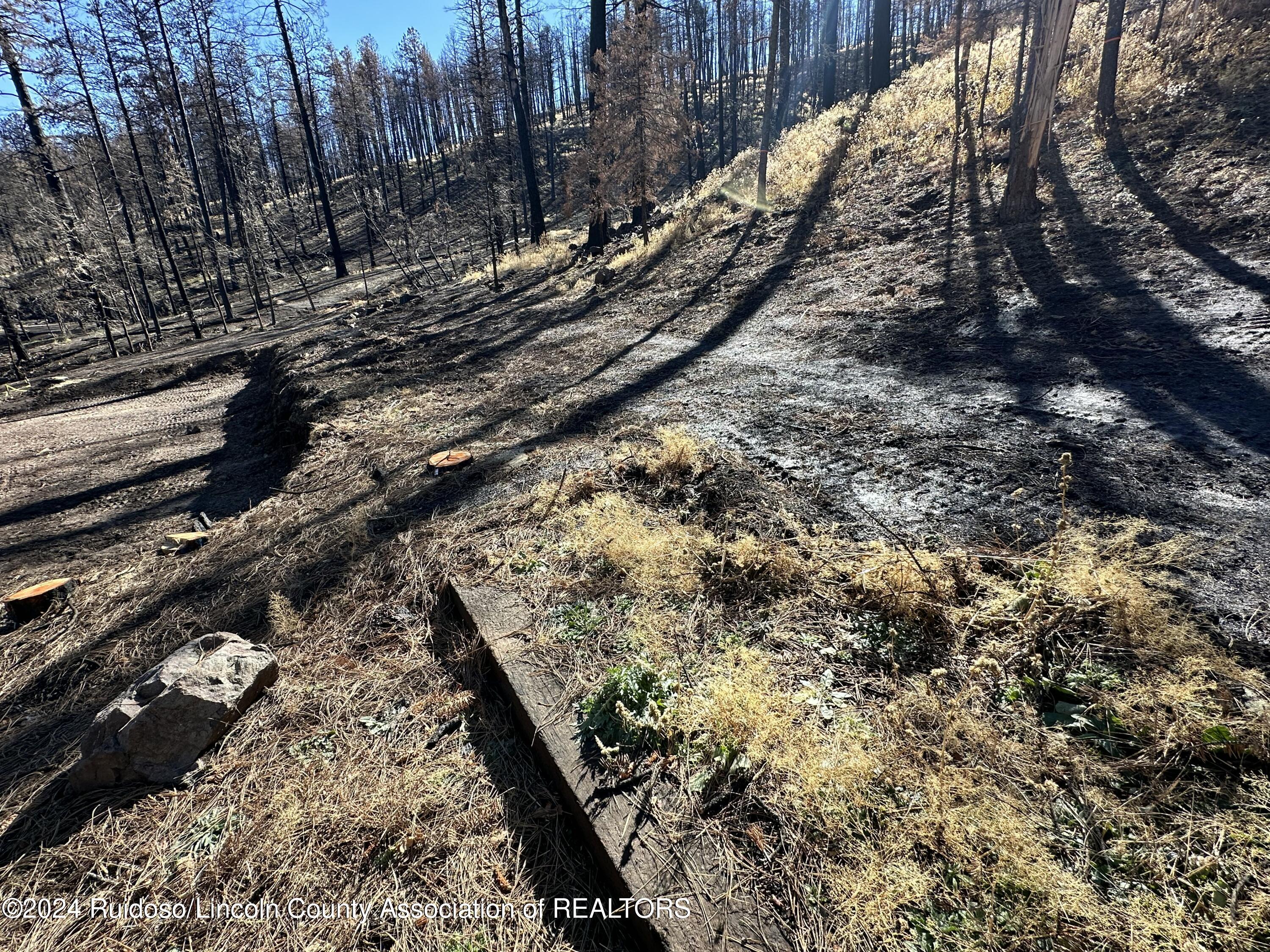 157 Jarratt Lp Loop, Ruidoso, New Mexico image 5